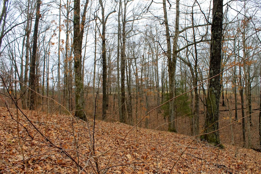 The Tennessean Tract 15 photo 9