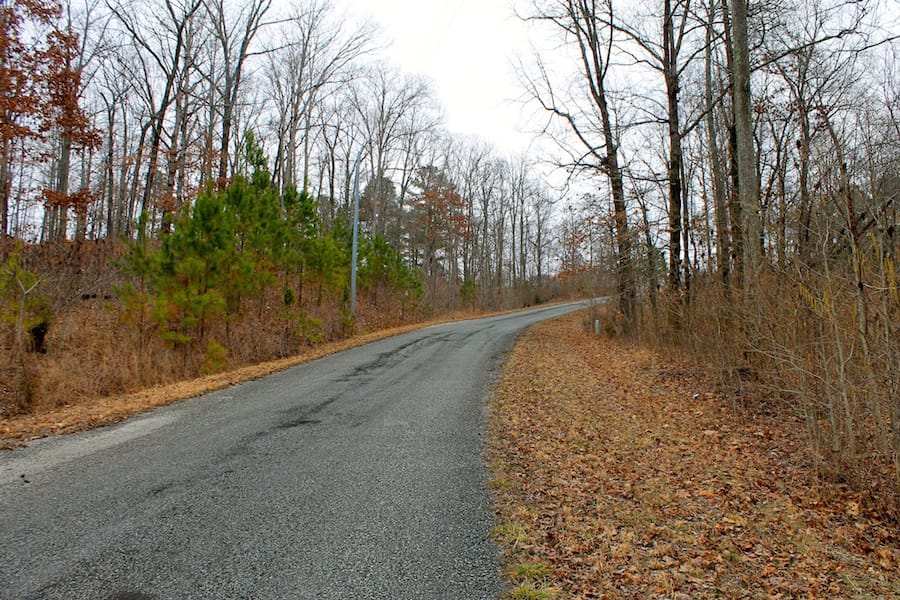 The Tennessean Tract 15 photo 1