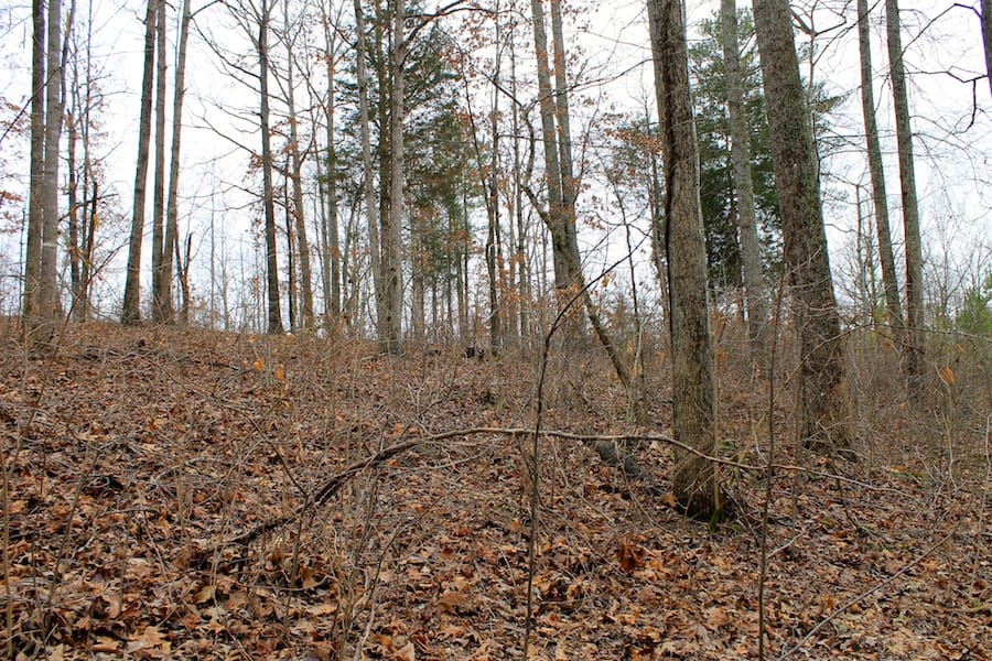 The Tennessean Tract 15 photo 14
