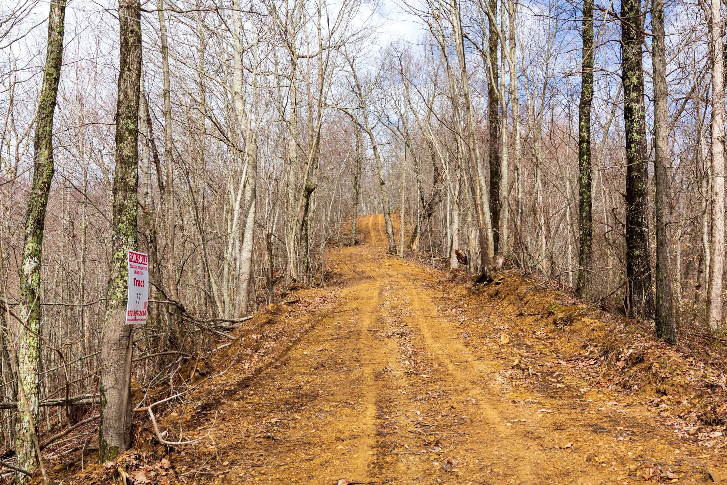 Blackstone Mountain Phase II Tract 73 photo 1