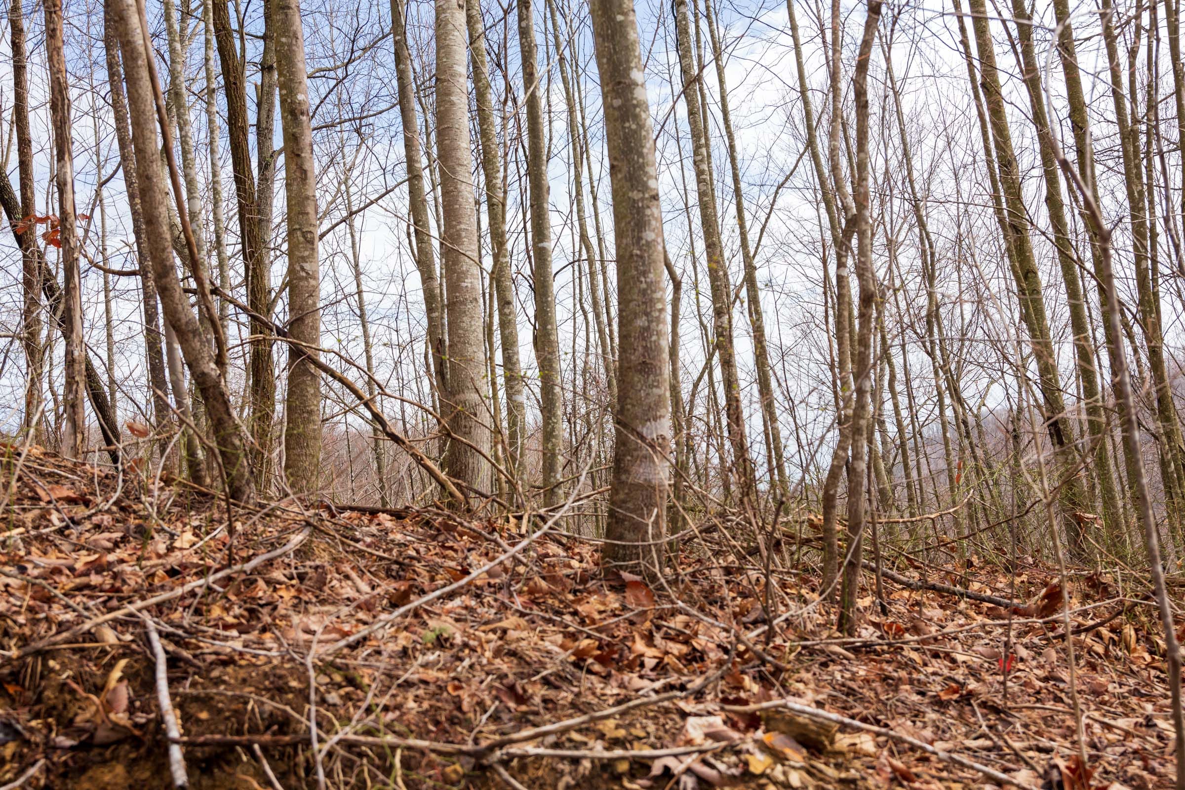 Blackstone Mountain Phase II Tract 73 photo 2