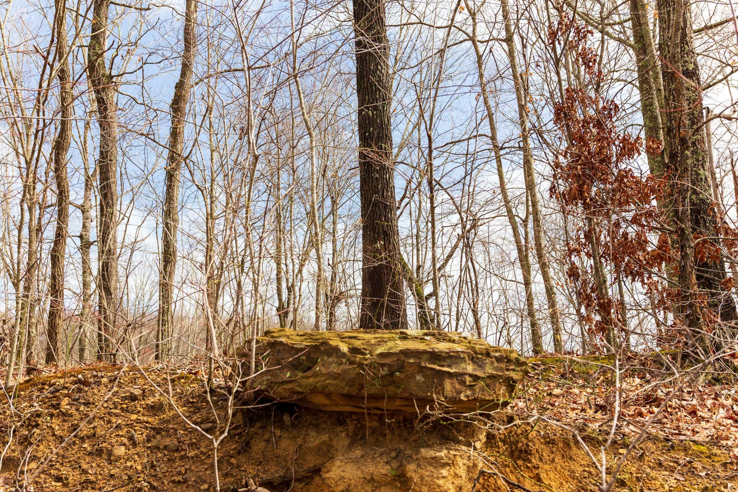 Blackstone Mountain Phase II Tract 73 photo 6