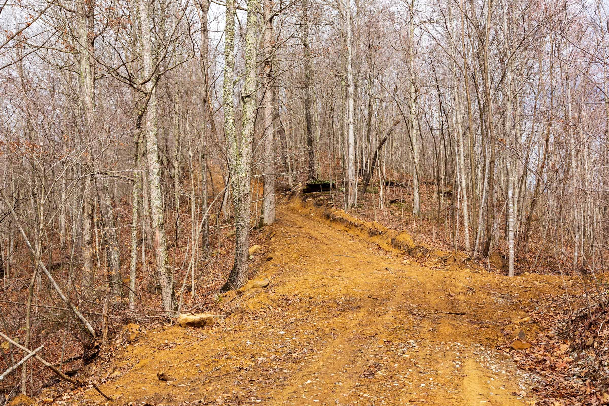 Blackstone Mountain Phase II Tract 73 photo 4