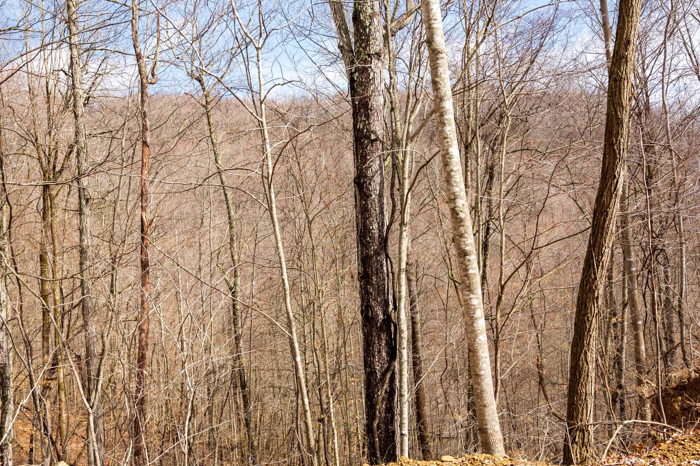 Blackstone Mountain Phase II Tract 73 photo 8
