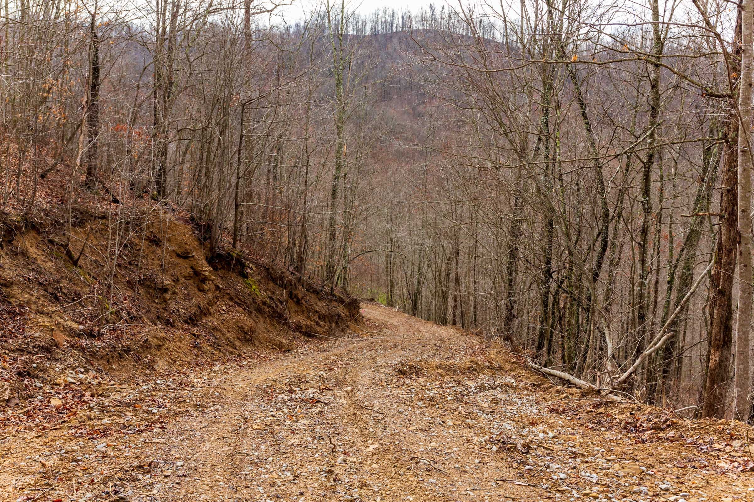 Blackstone Mountain Phase II Tract 73 photo 7