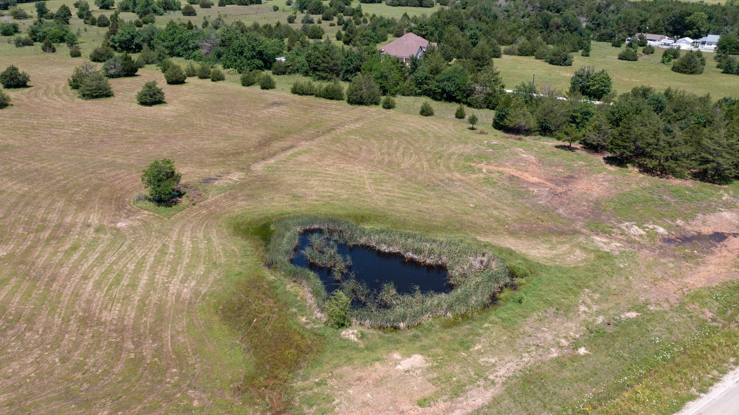 Wildflower Reserve Tract 2 photo 8