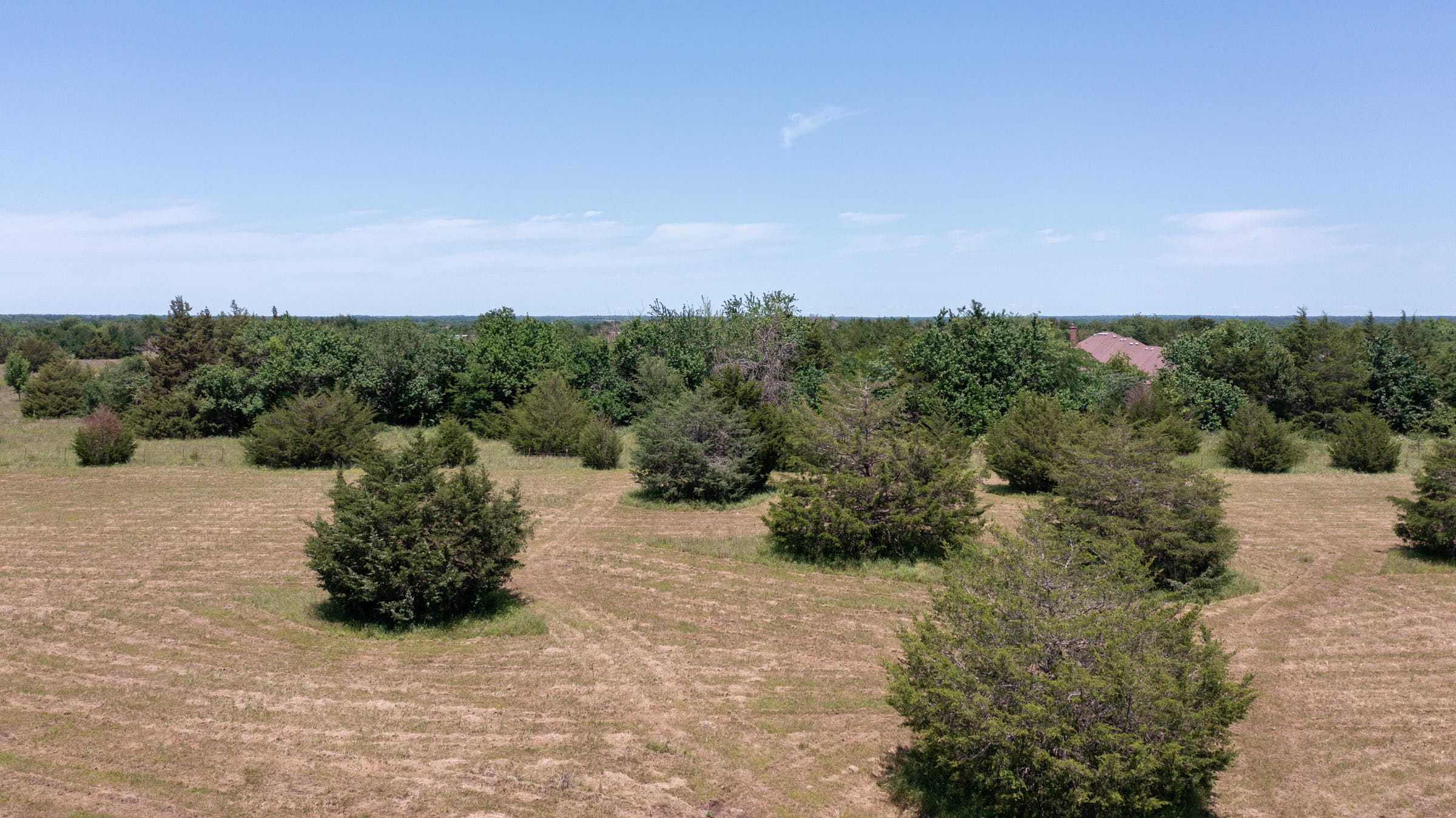 Wildflower Reserve Tract 2 photo 27