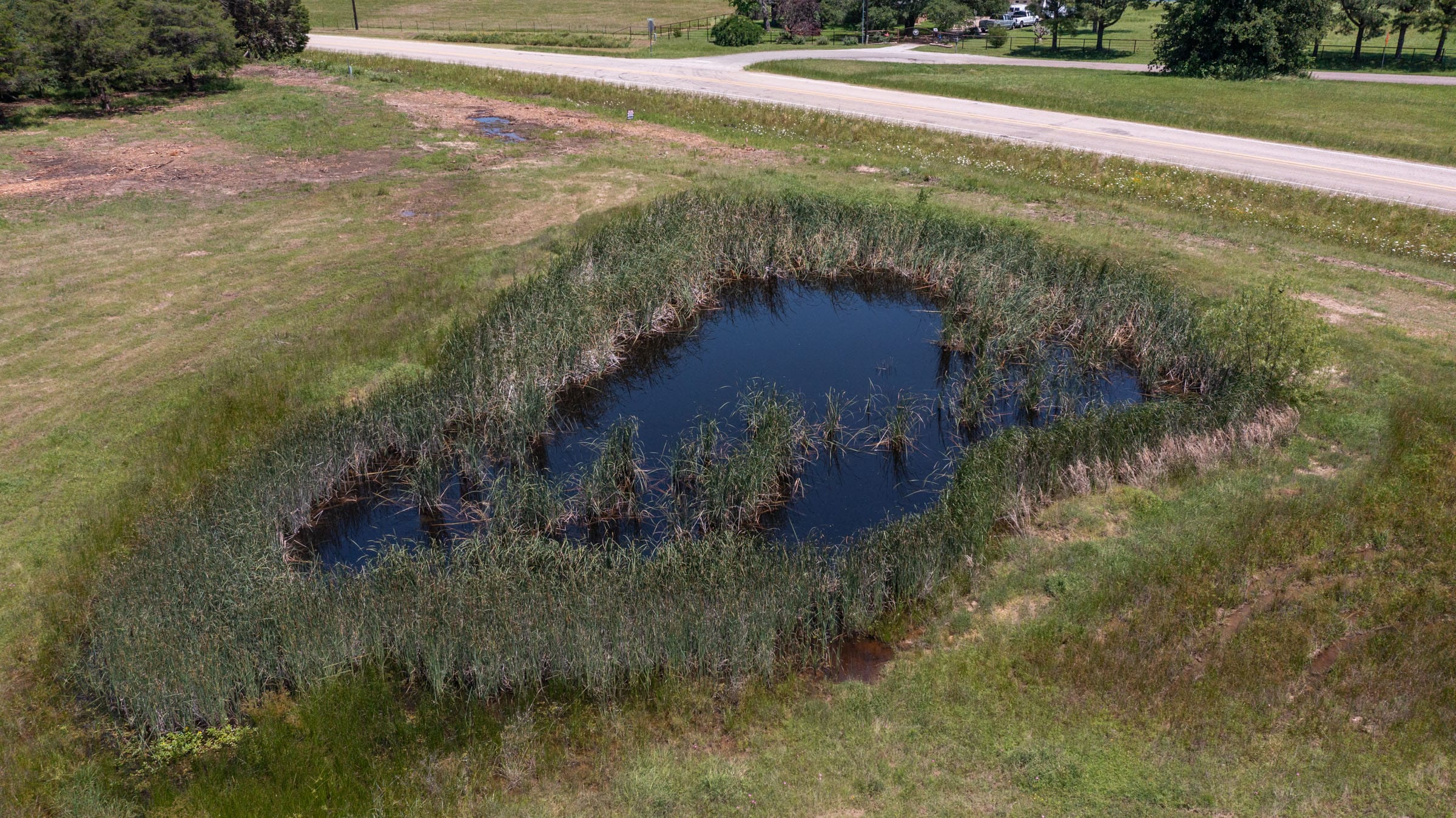 Wildflower Reserve Tract 2 photo 4