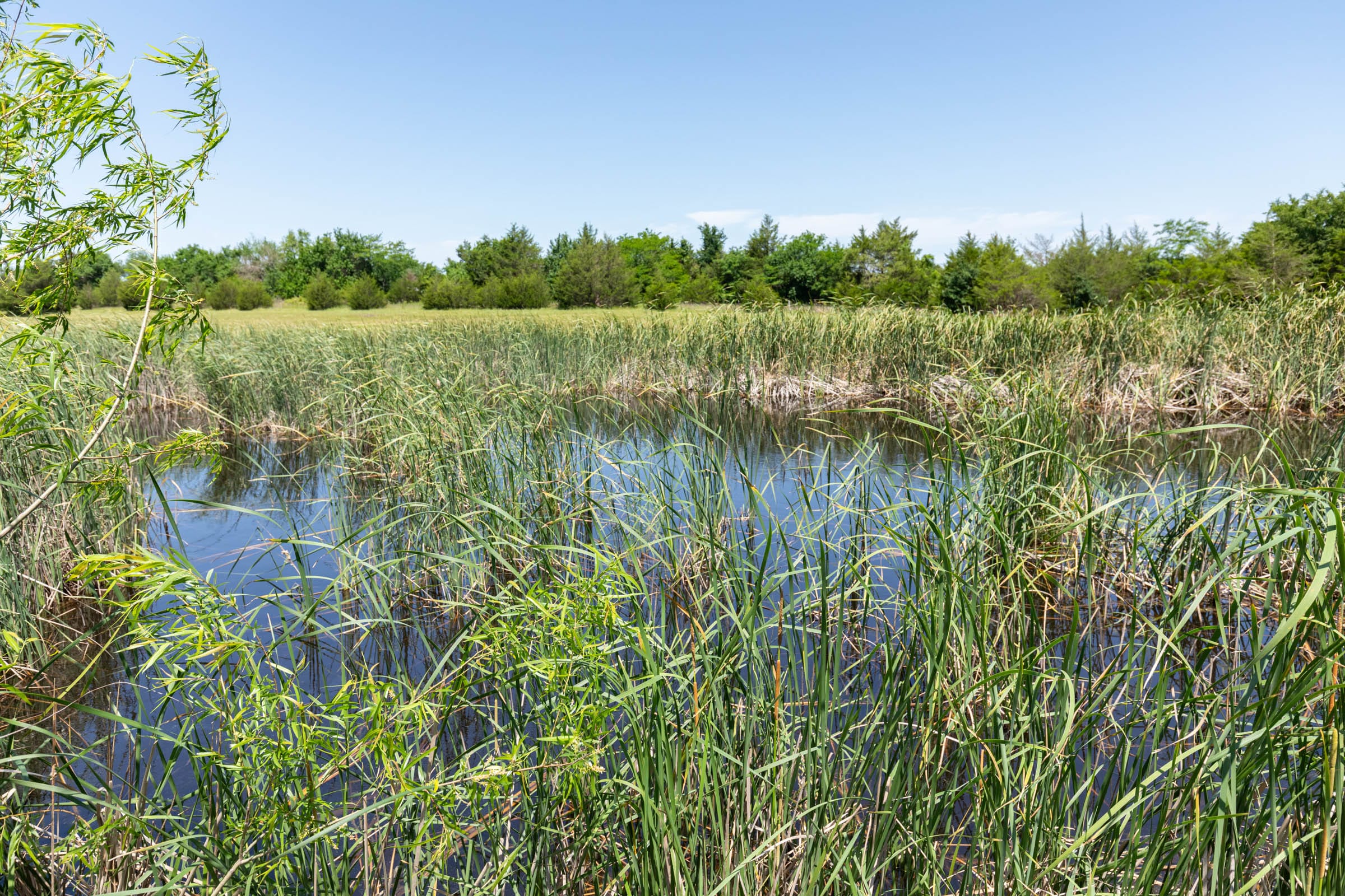 Wildflower Reserve Tract 2 photo 7