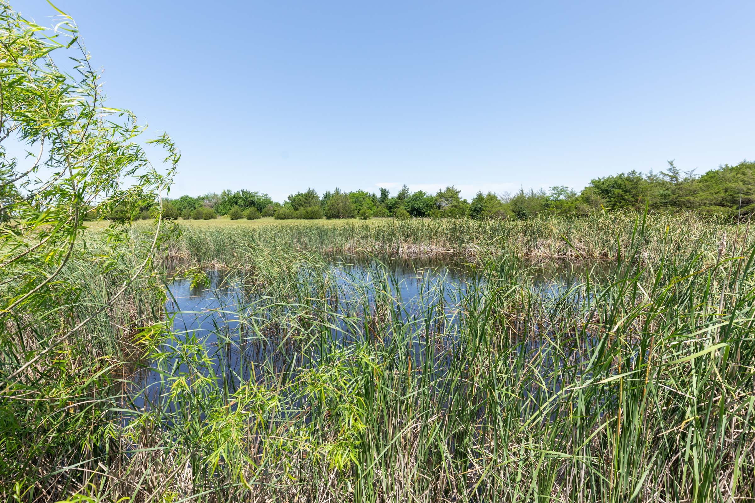 Wildflower Reserve Tract 2 photo 13