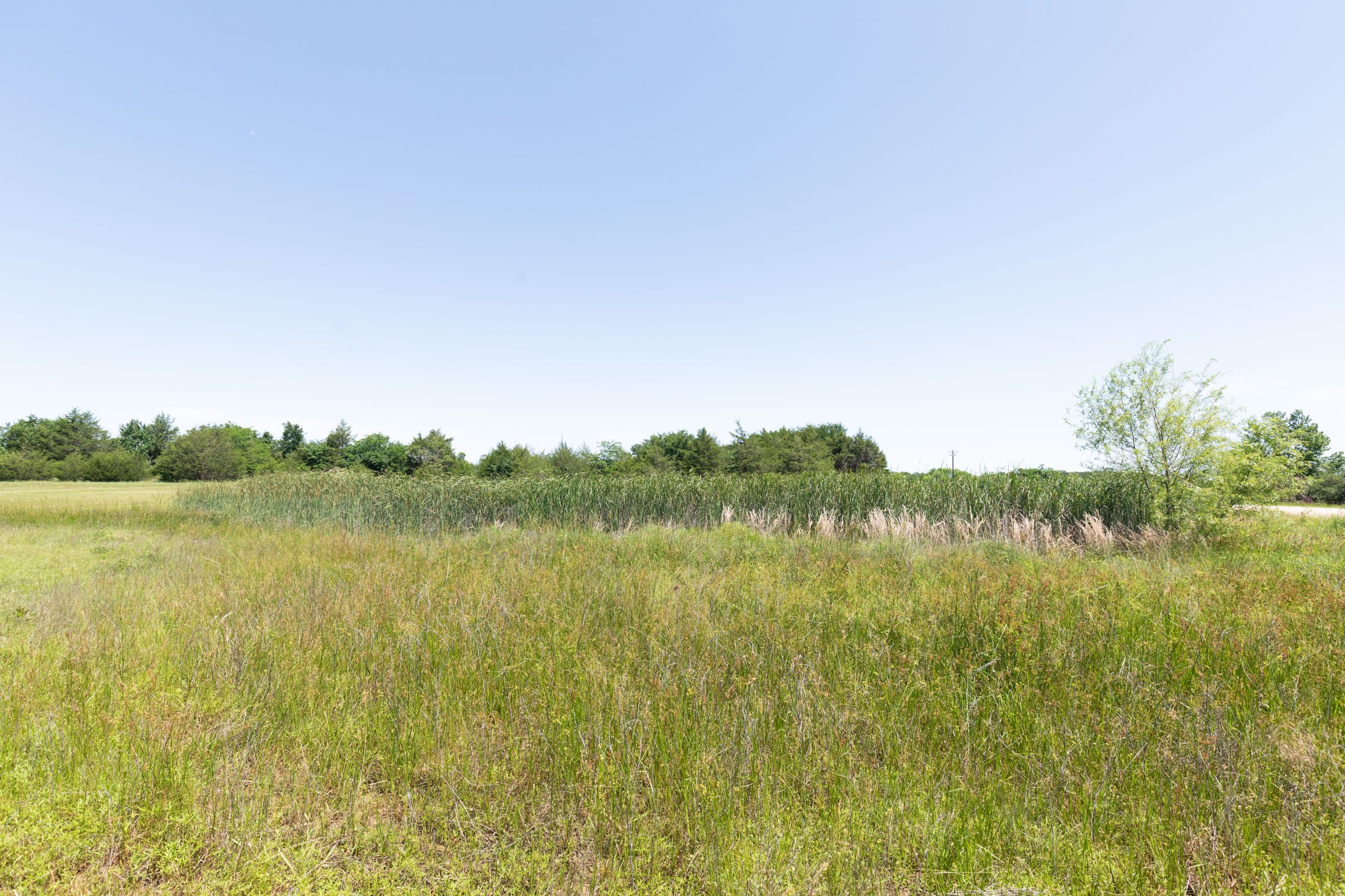 Wildflower Reserve Tract 2 photo 9
