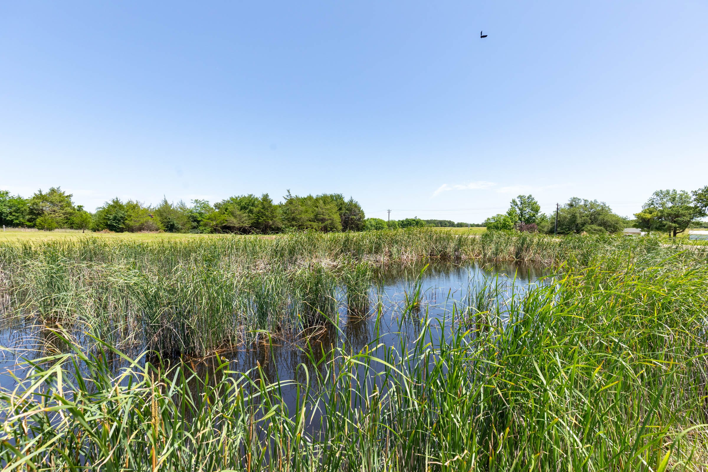 Wildflower Reserve Tract 2 photo 3
