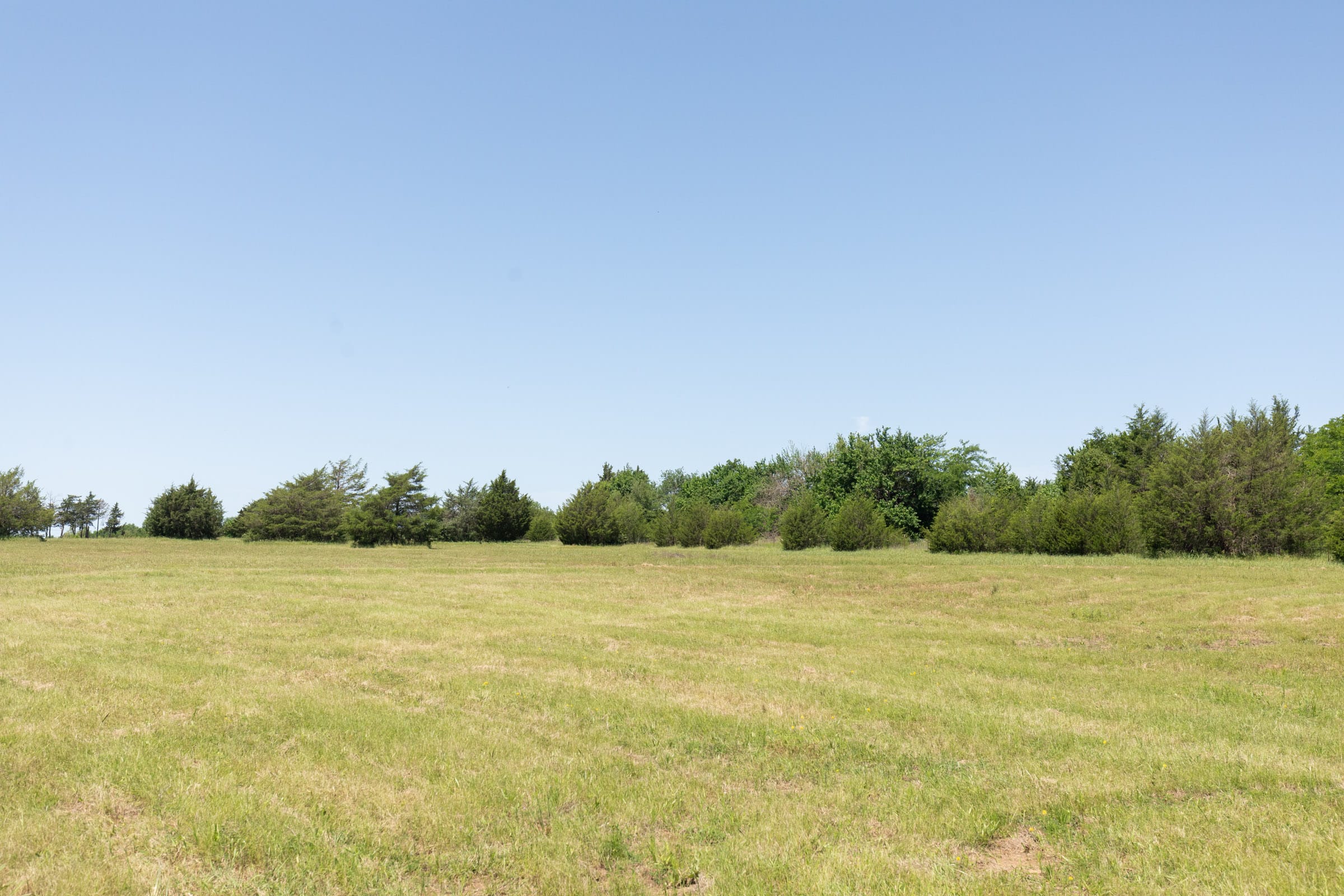 Wildflower Reserve Tract 2 photo 14