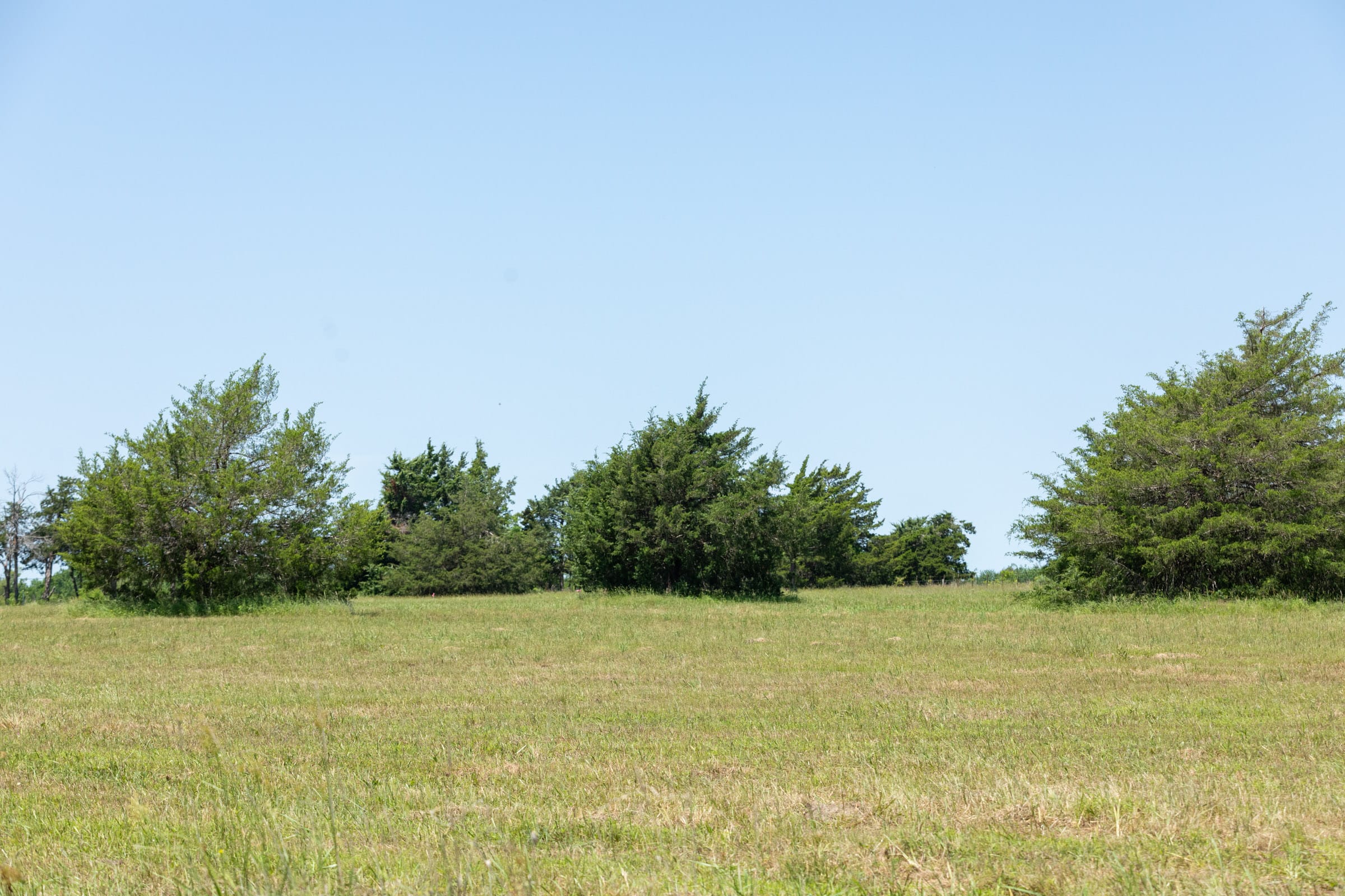 Wildflower Reserve Tract 2 photo 18