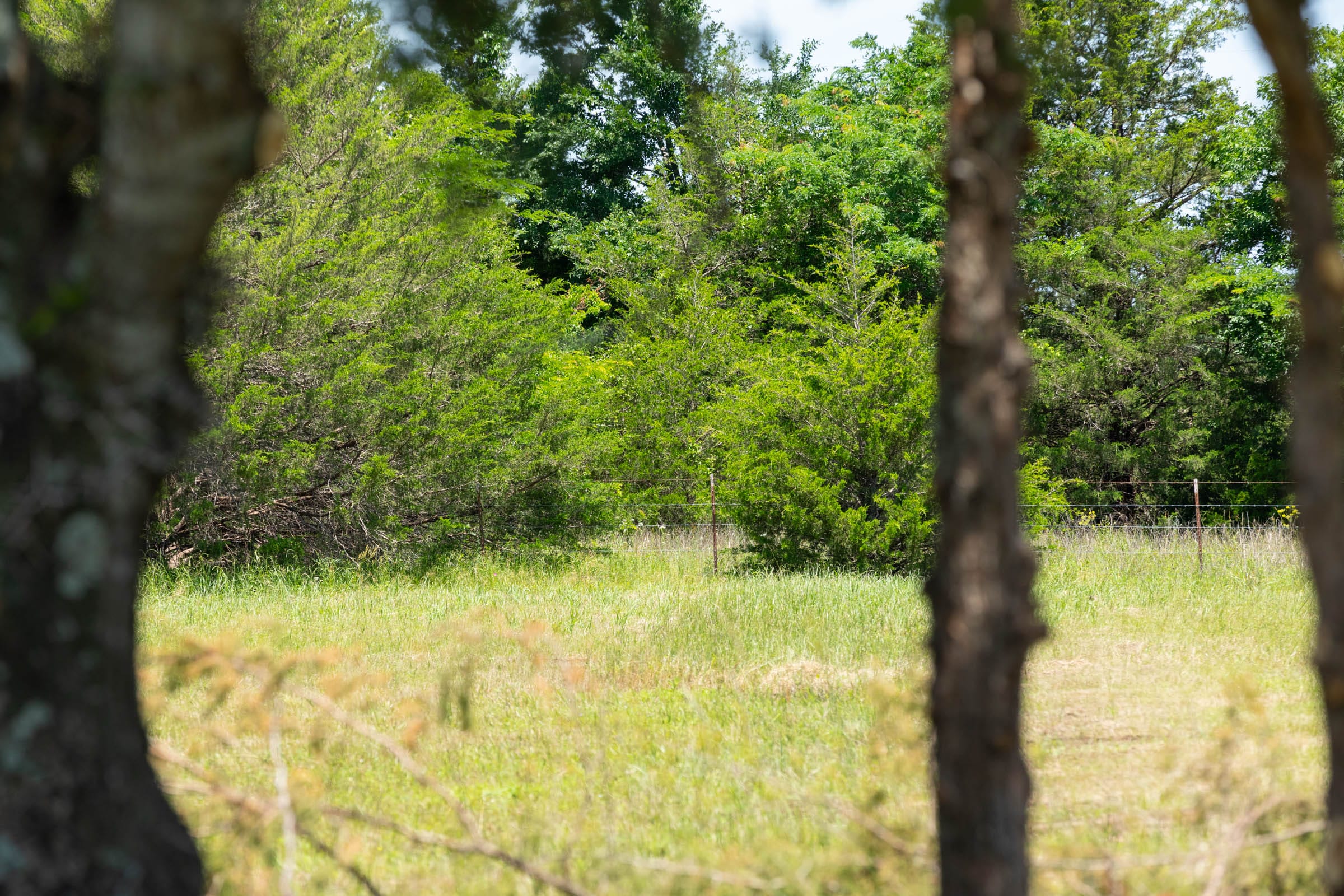 Wildflower Reserve Tract 2 photo 15