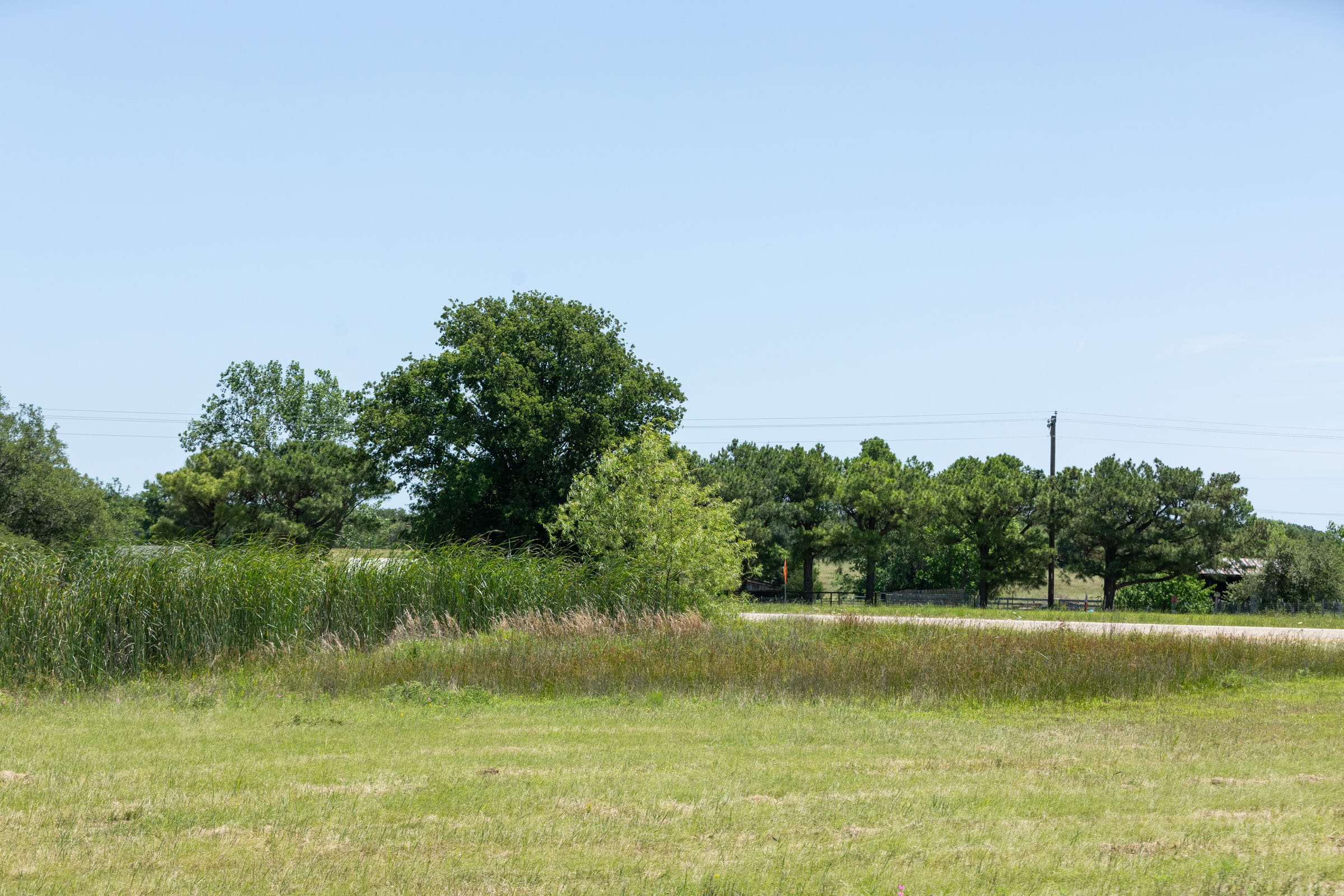 Wildflower Reserve Tract 2 photo 21