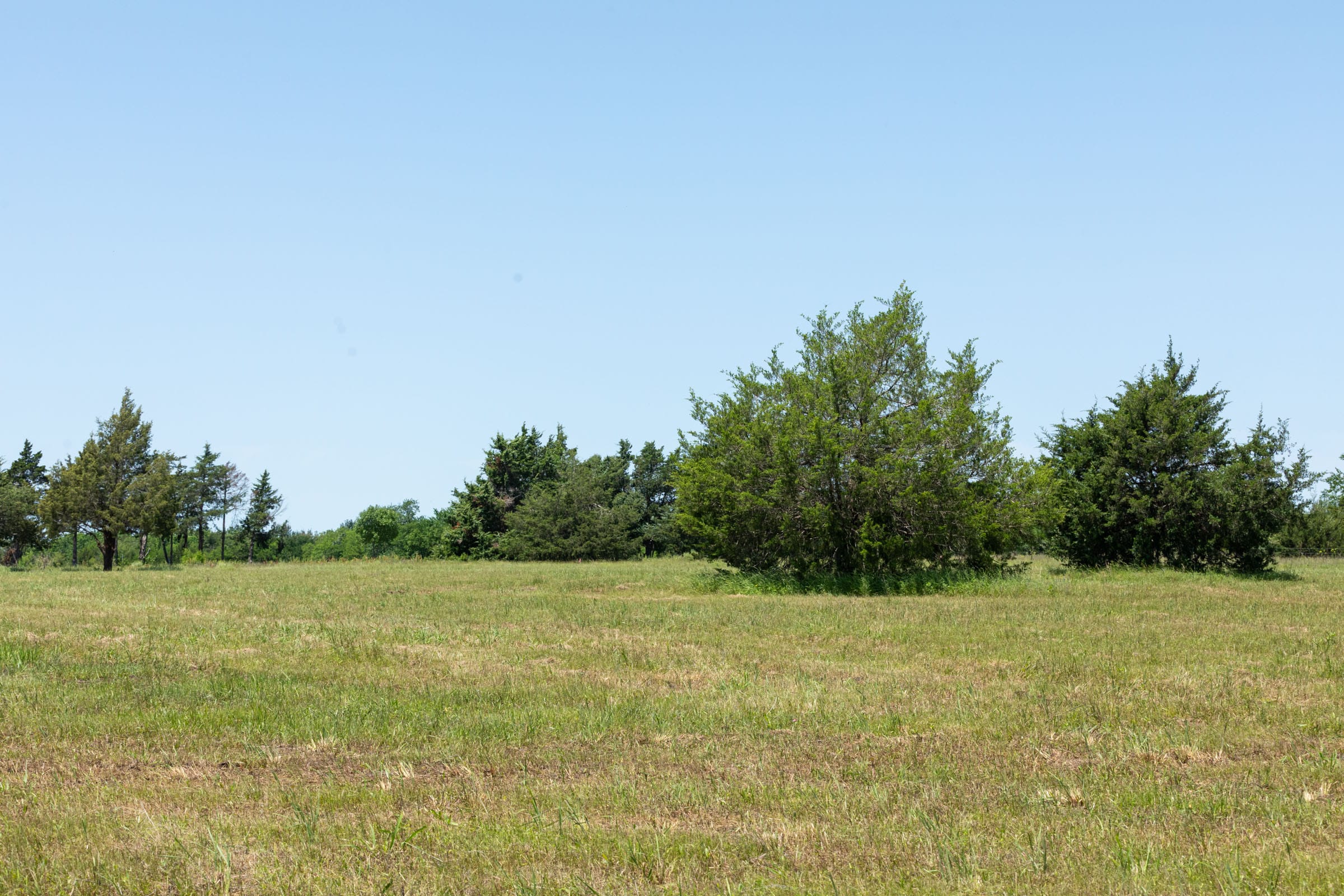 Wildflower Reserve Tract 2 photo 24
