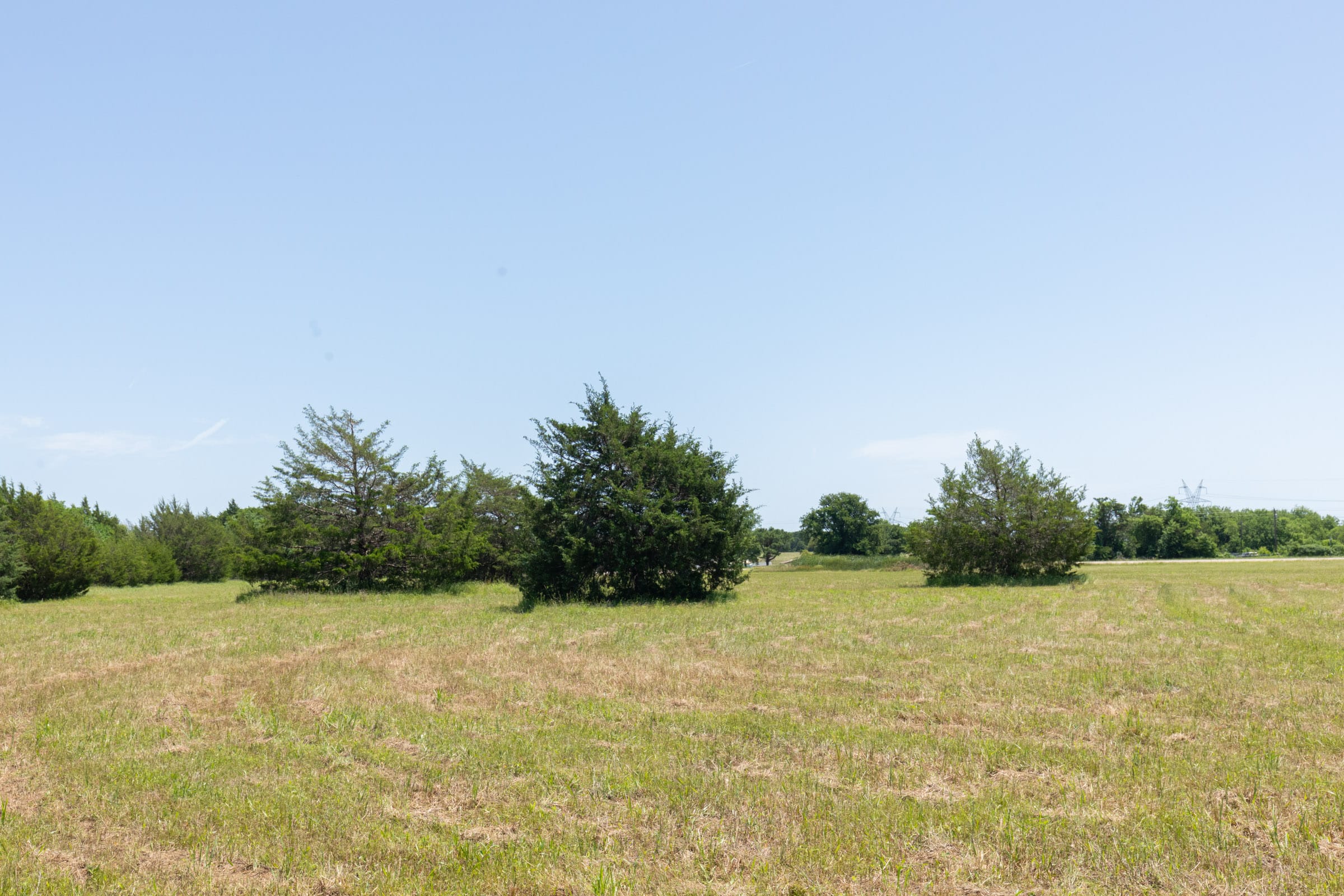 Wildflower Reserve Tract 2 photo 22