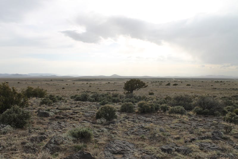 San Luis Valley Ranches Tract 1 photo 9