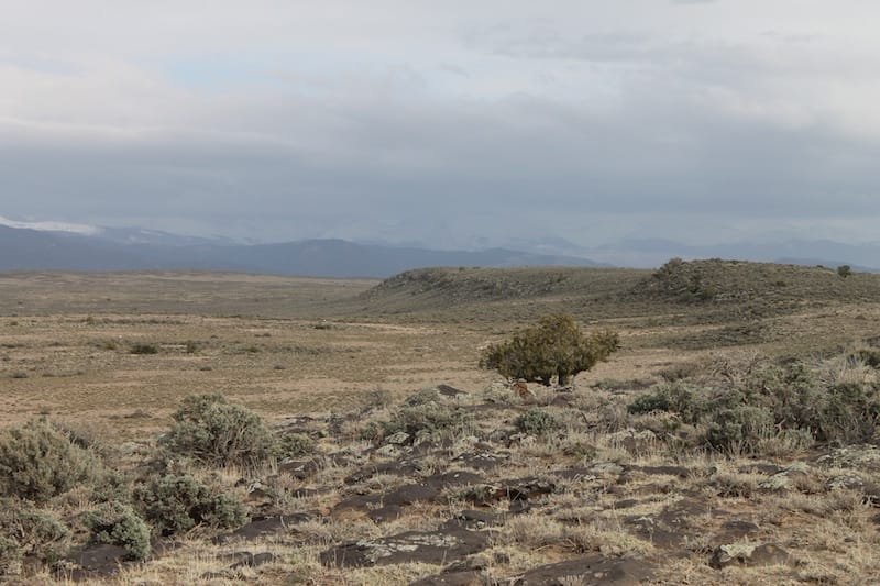 San Luis Valley Ranches Tract 1 photo 12
