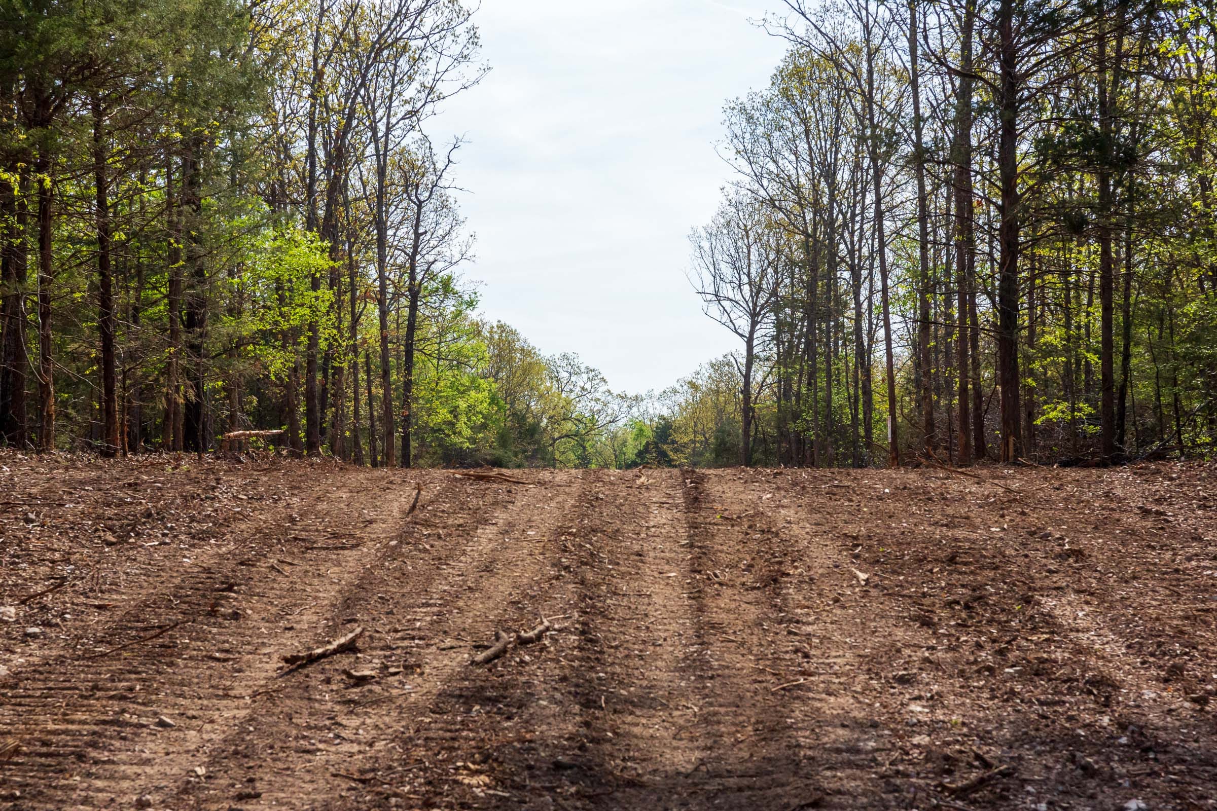 Autumnwood Tract 5 photo 1