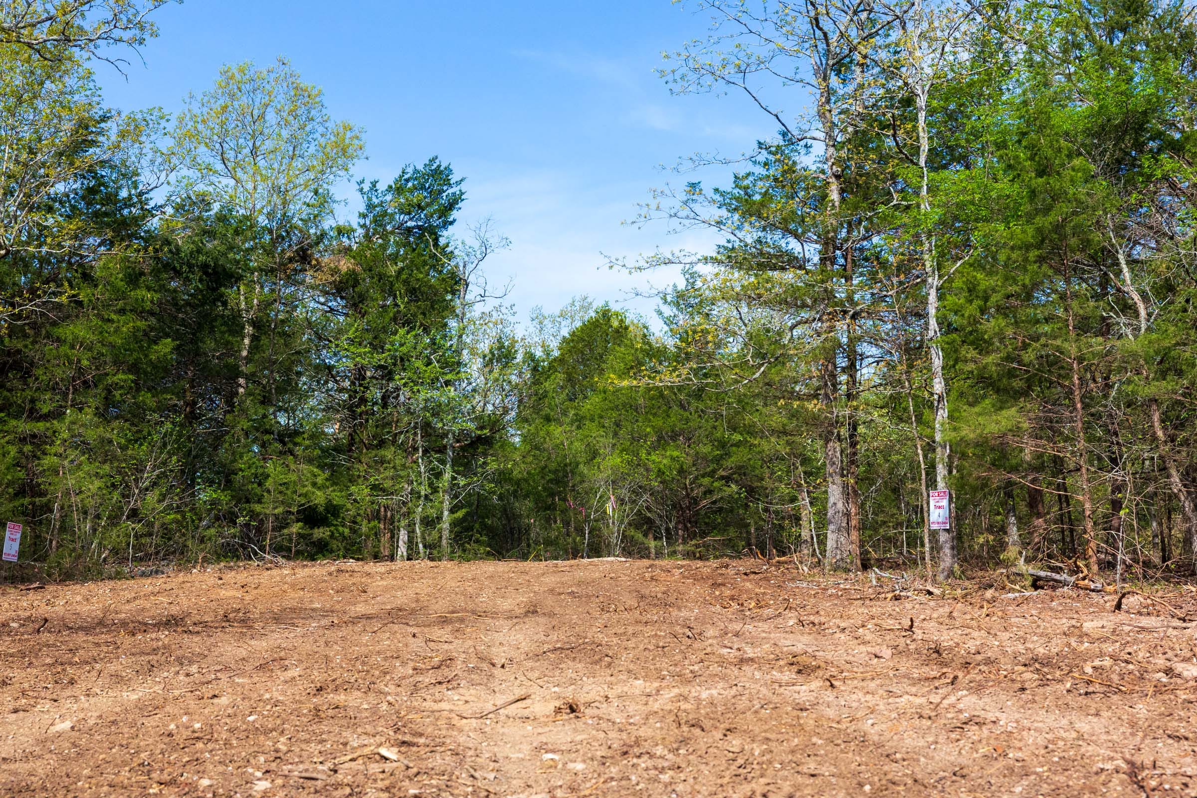 Autumnwood Tract 5 photo 8