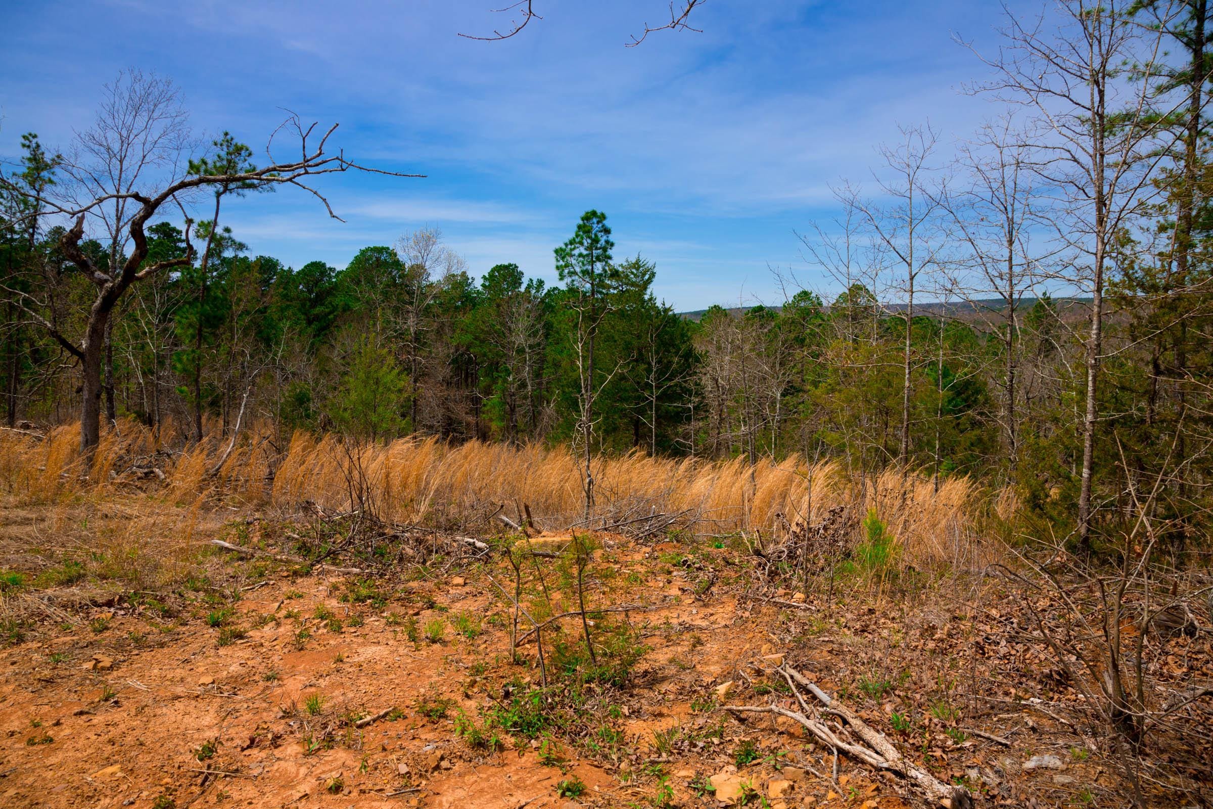 Stone Creek Phase II Tract 198 photo 2