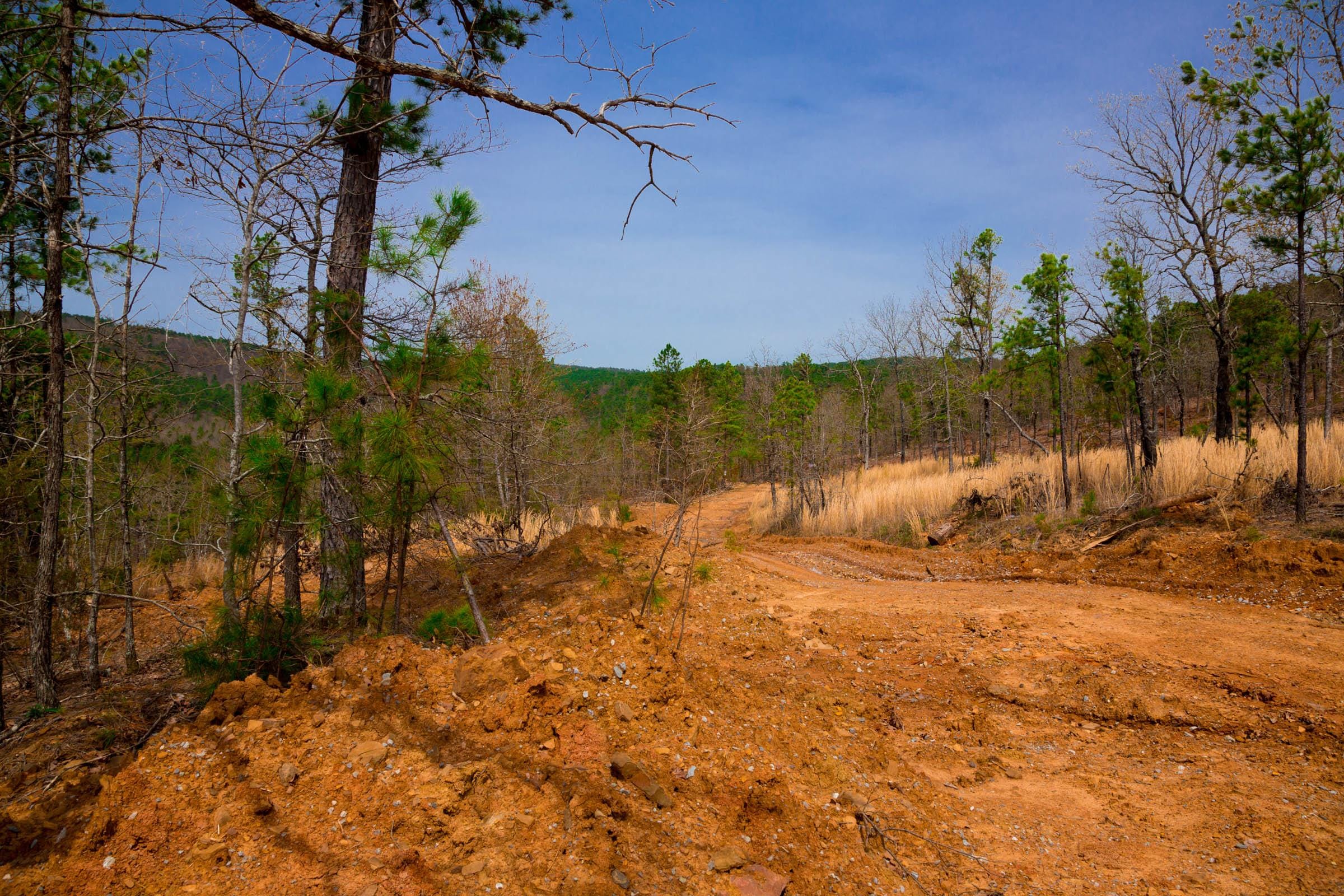 Stone Creek Phase II Tract 198 photo 3