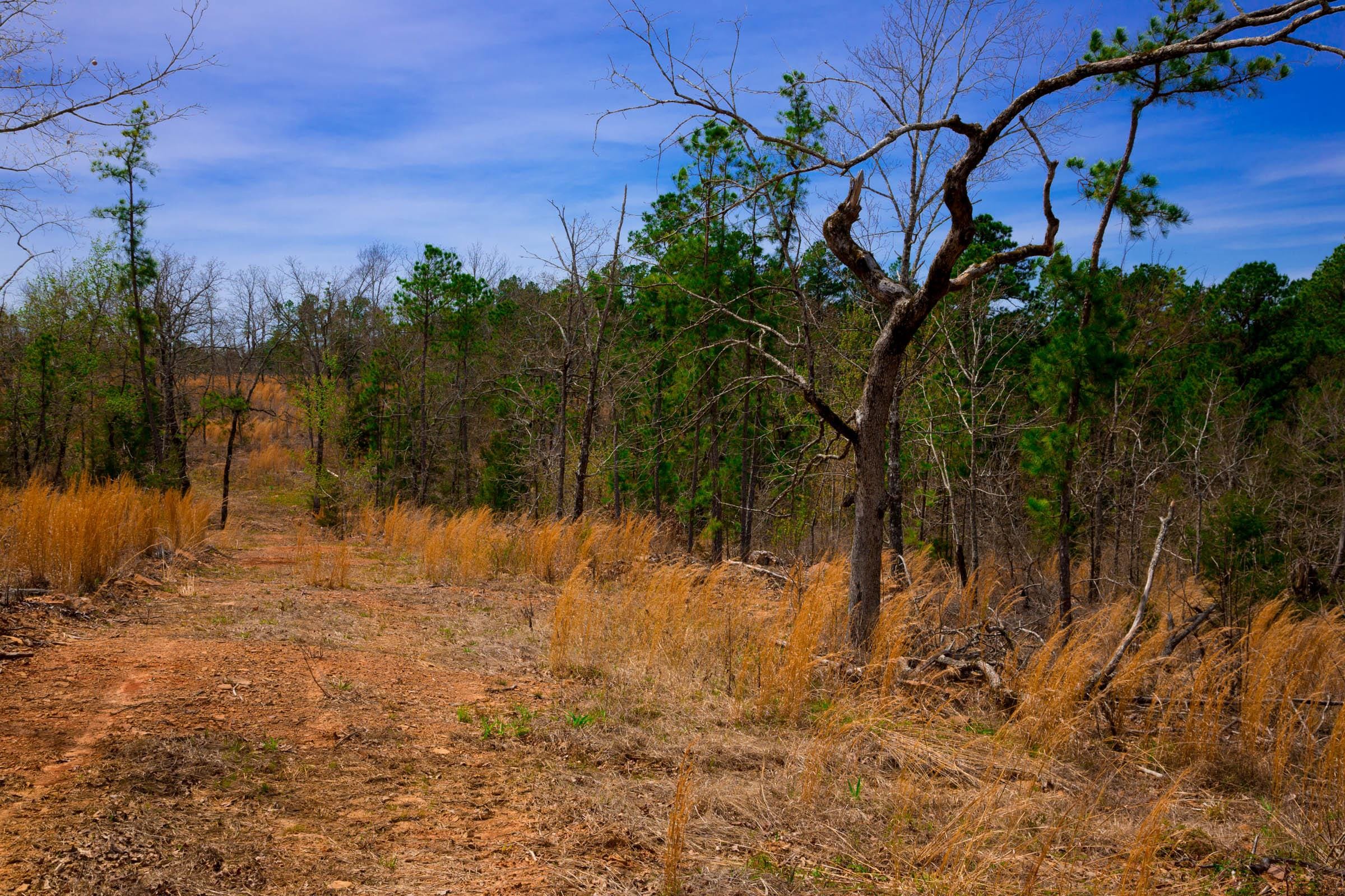Stone Creek Phase II Tract 198 photo 4