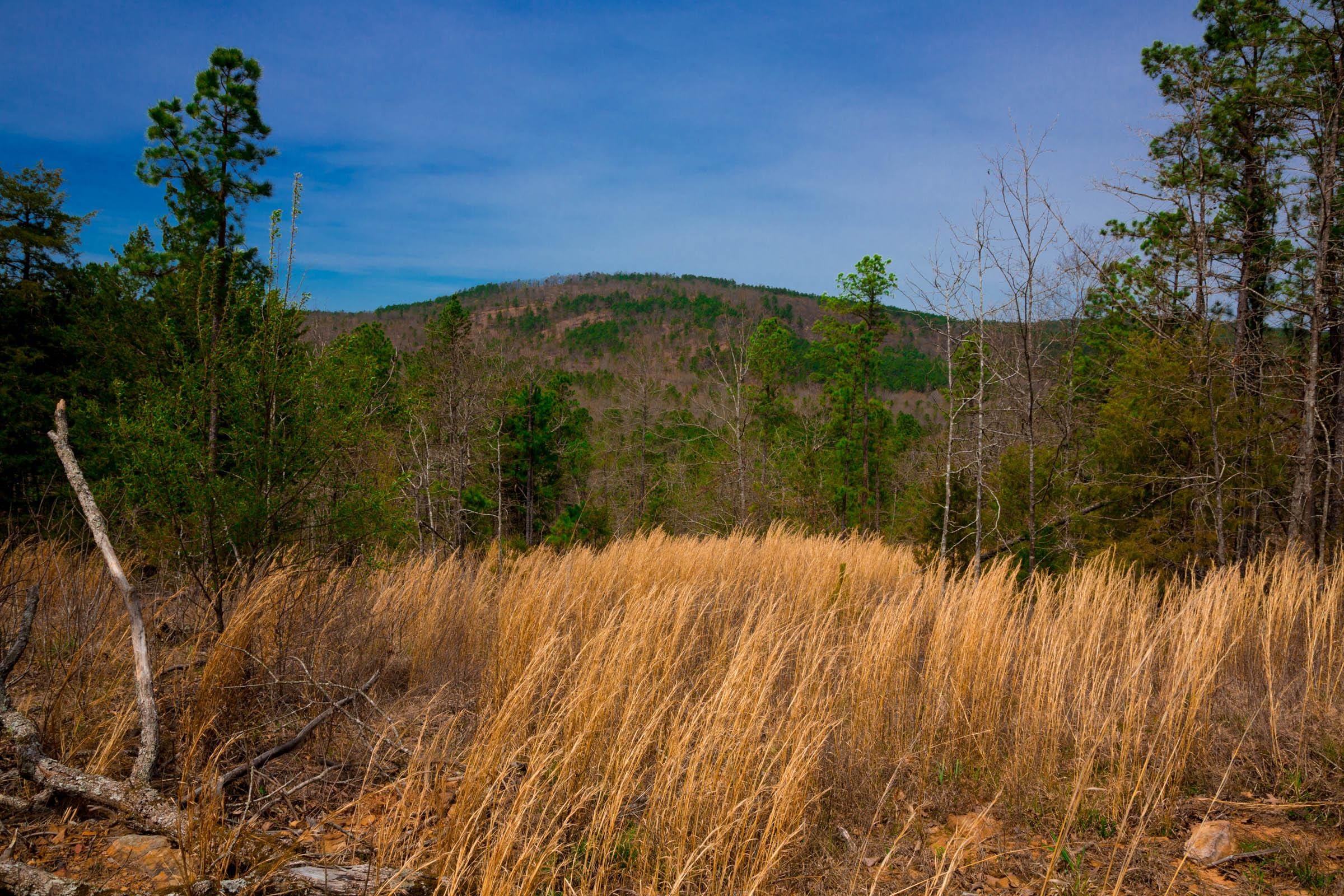 Stone Creek Phase II Tract 198 photo 5