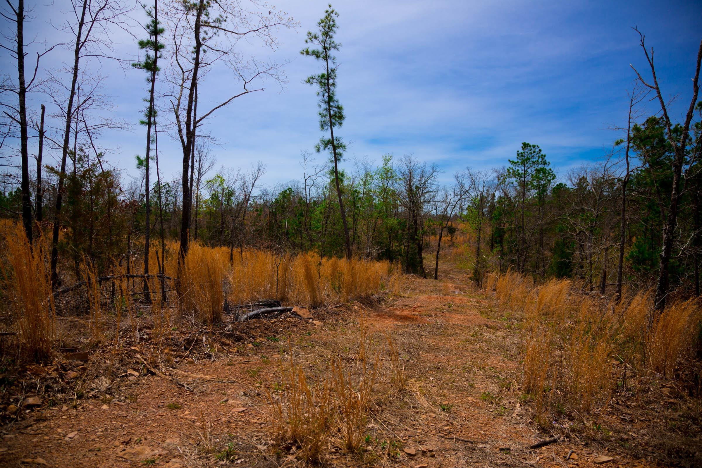Stone Creek Phase II Tract 198 photo 7