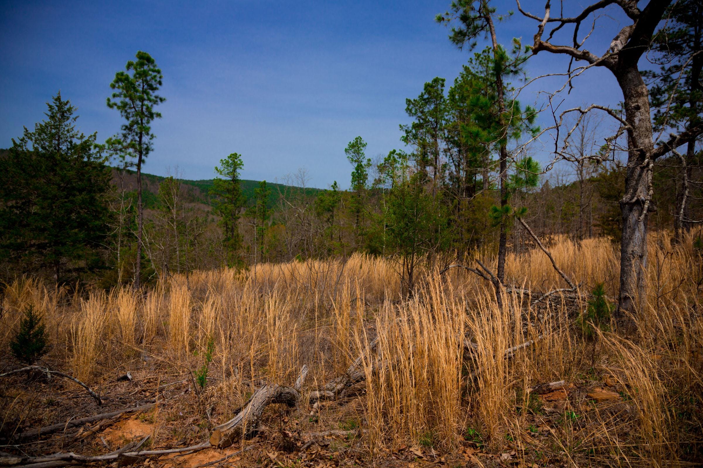 Stone Creek Phase II Tract 198 photo 8