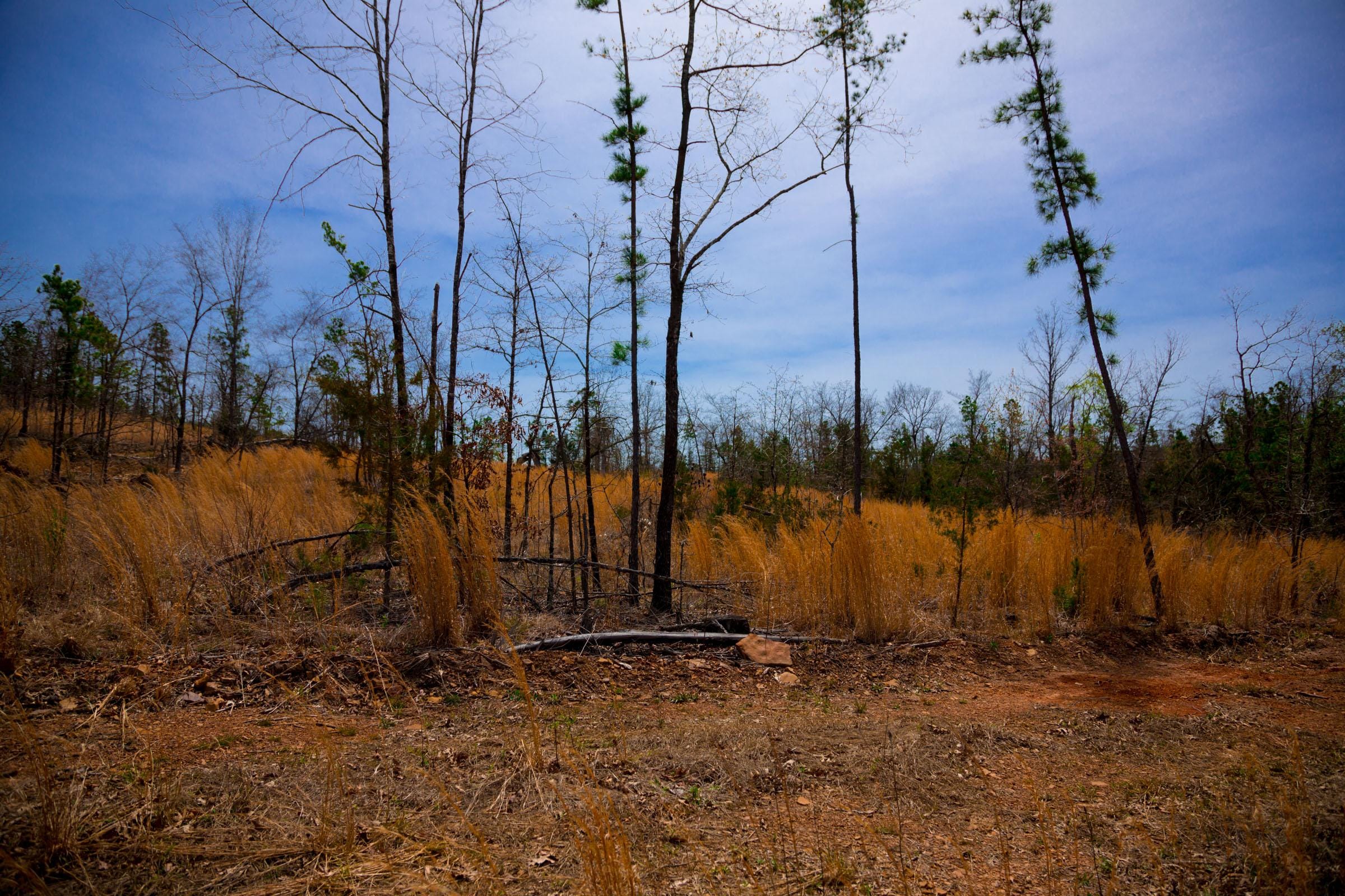 Stone Creek Phase II Tract 198 photo 9