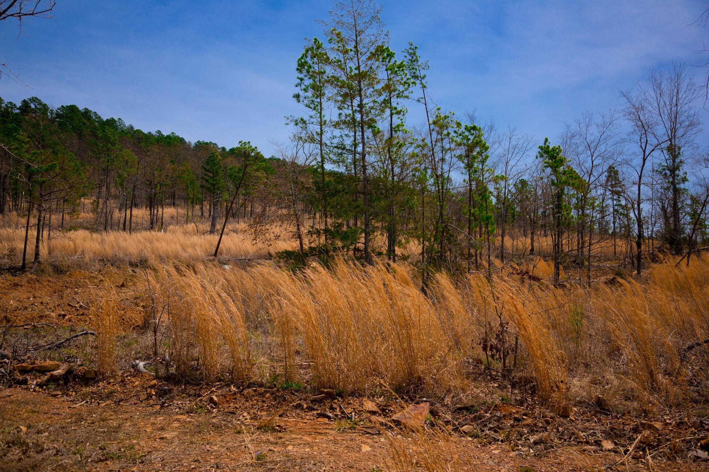 Stone Creek Phase II Tract 198 photo 10