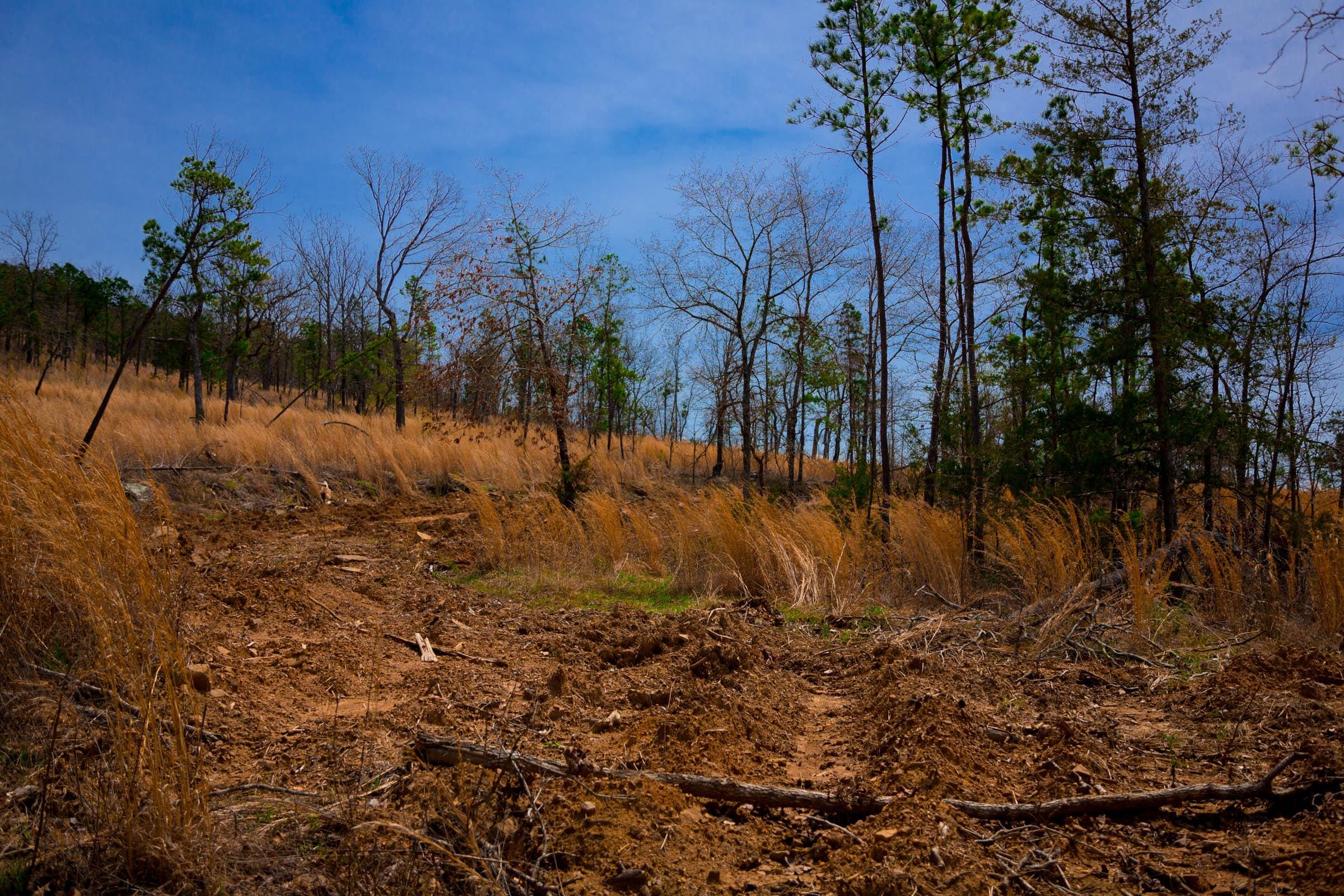 Stone Creek Phase II Tract 198 photo 11