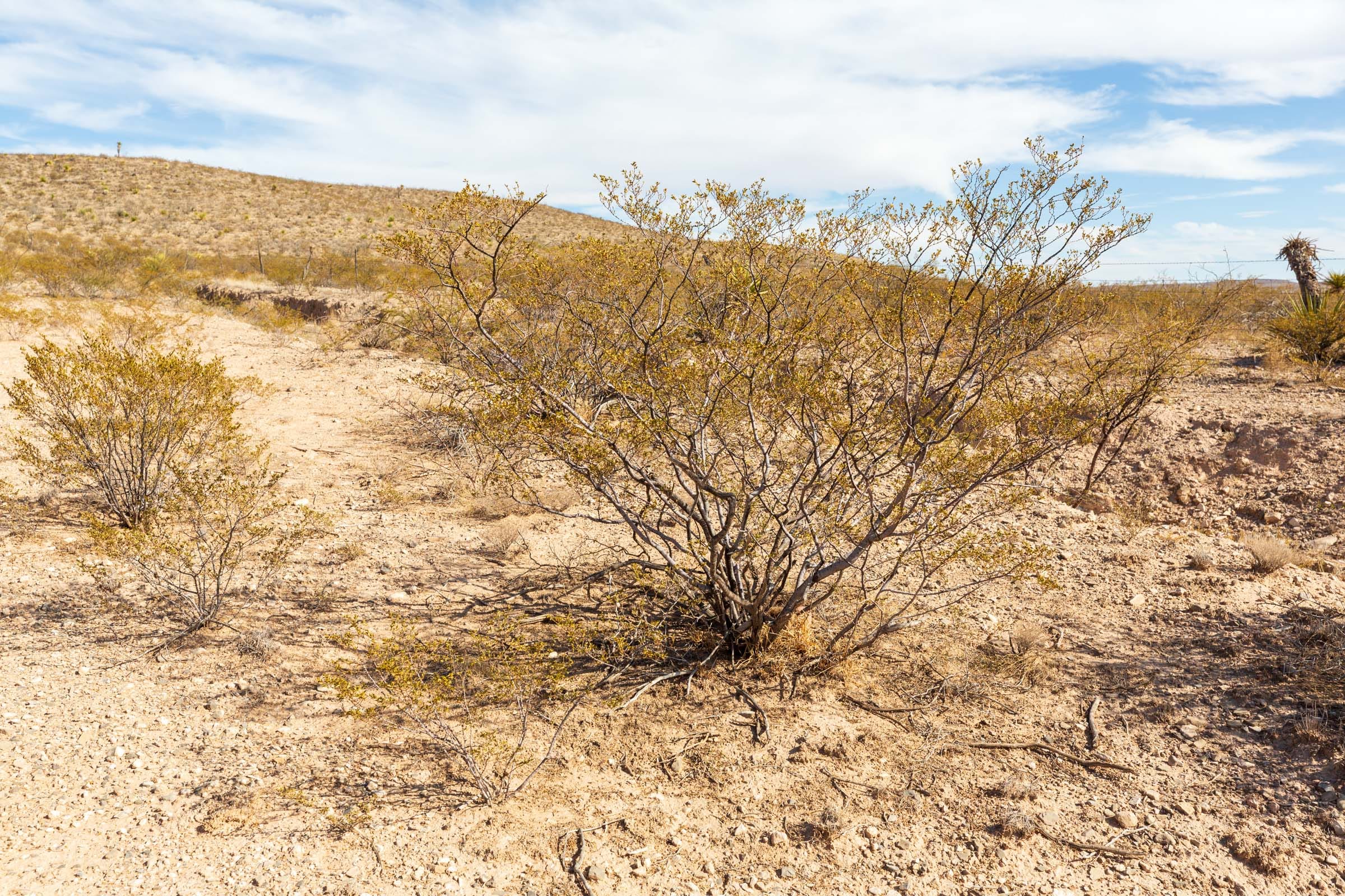 Sunrise Ranches Phase III Tract 111 photo 13