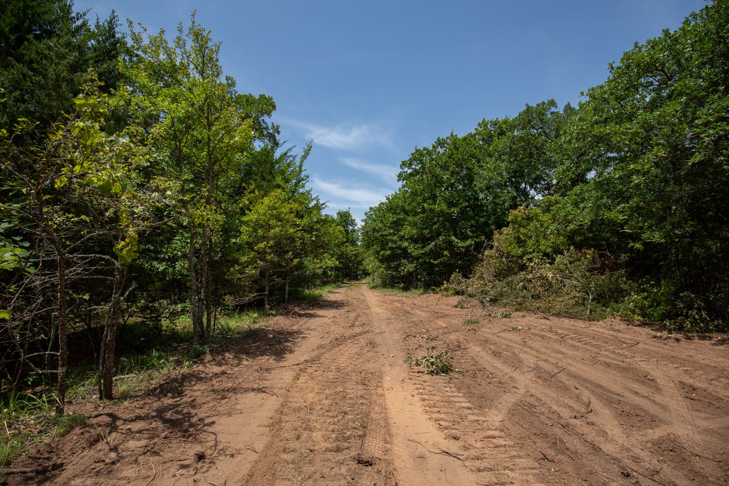 Timber Ridge Tract 53 photo 3
