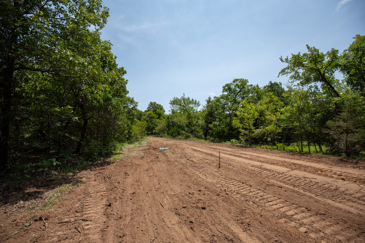 Timber Ridge Tract 53 photo 5