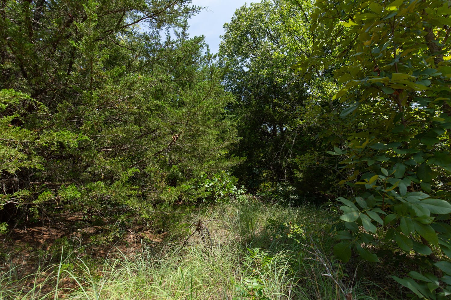 Timber Ridge Tract 53 photo 2