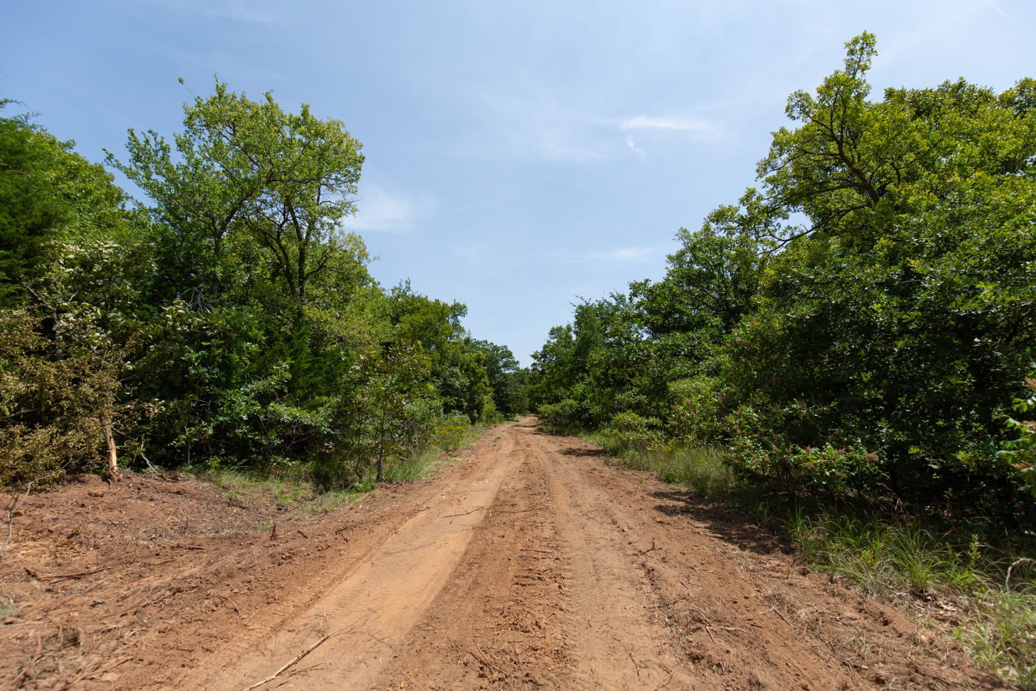 Timber Ridge Tract 53 photo 1