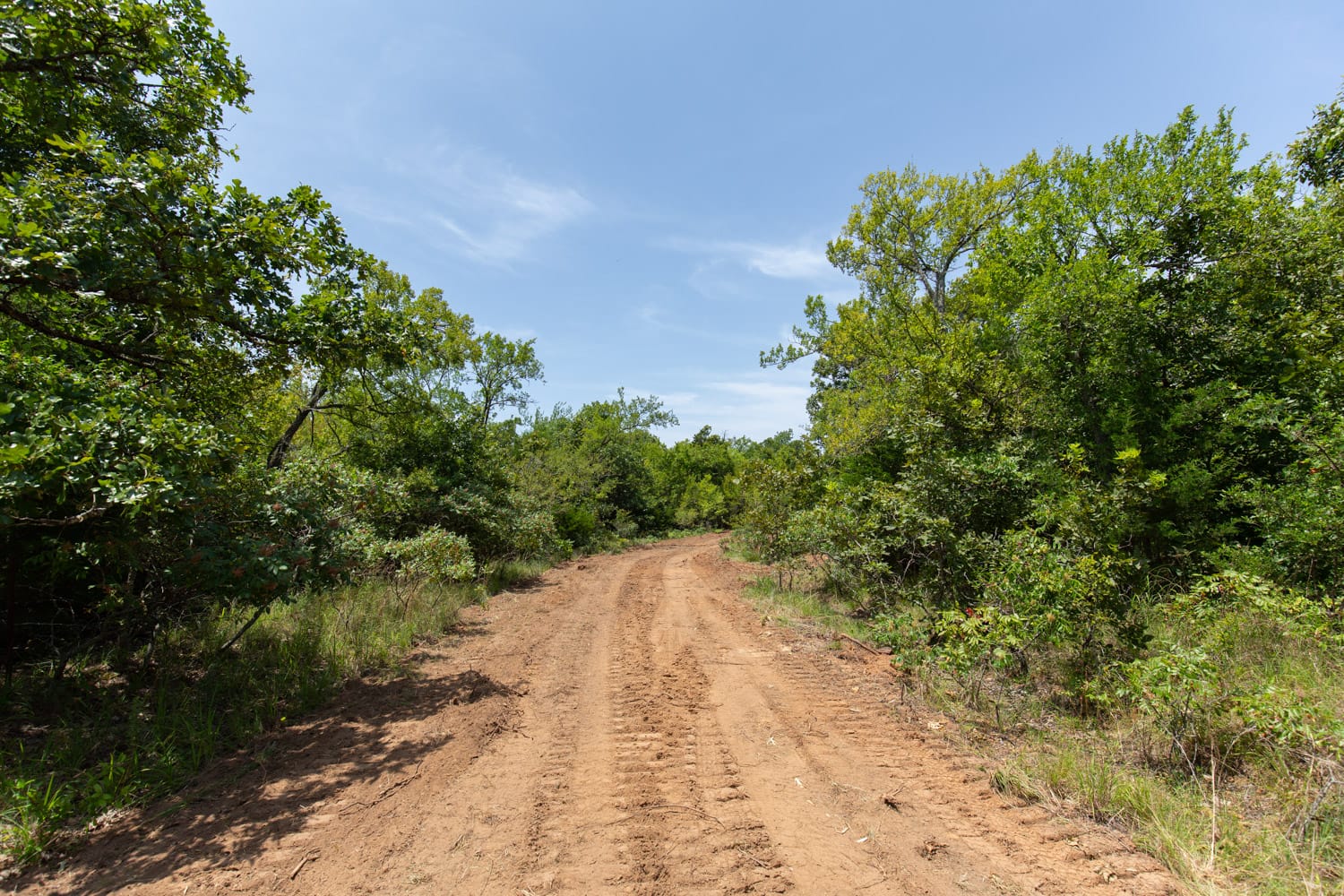 Timber Ridge Tract 53 photo 7