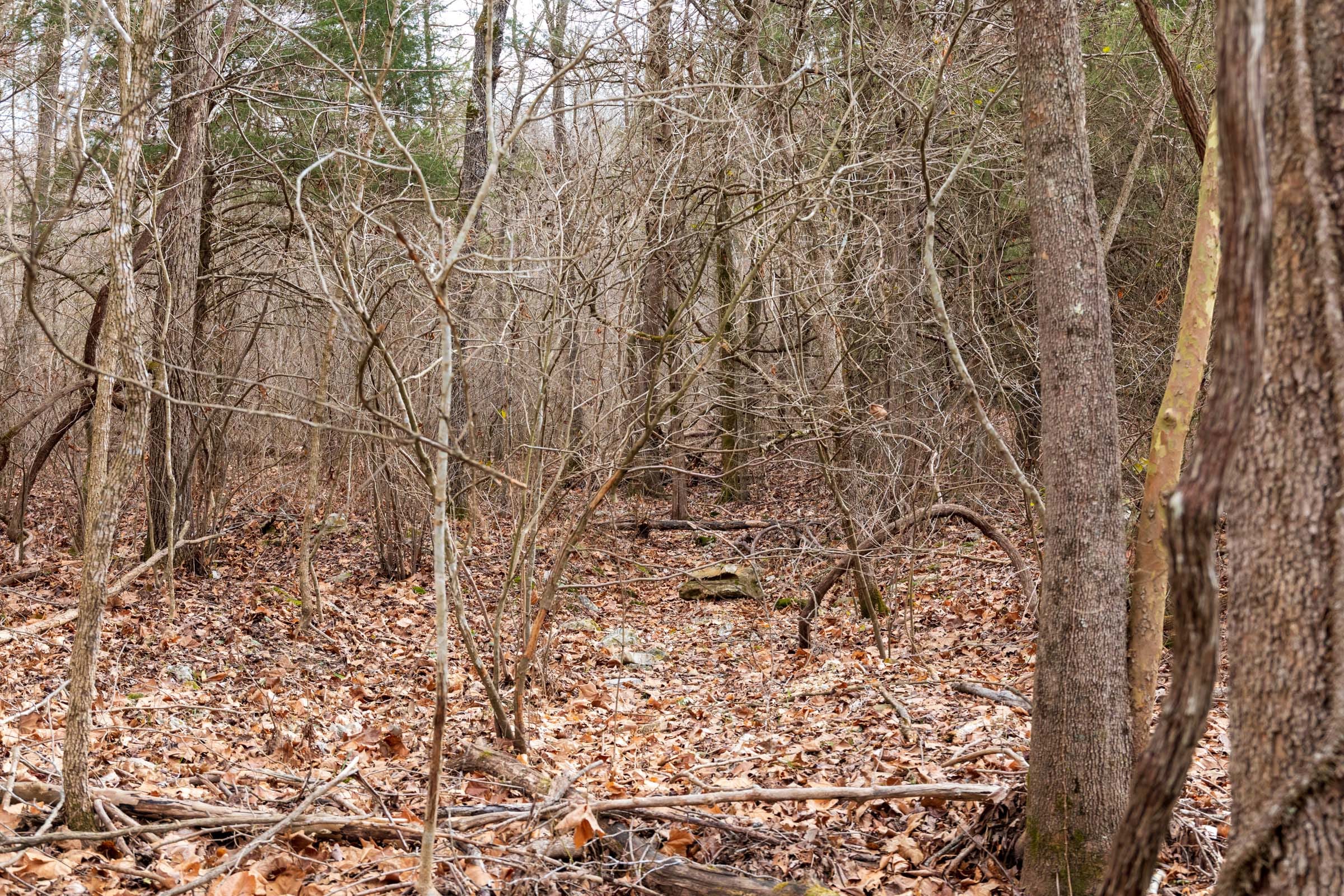Crossroads Tract 19 photo 4