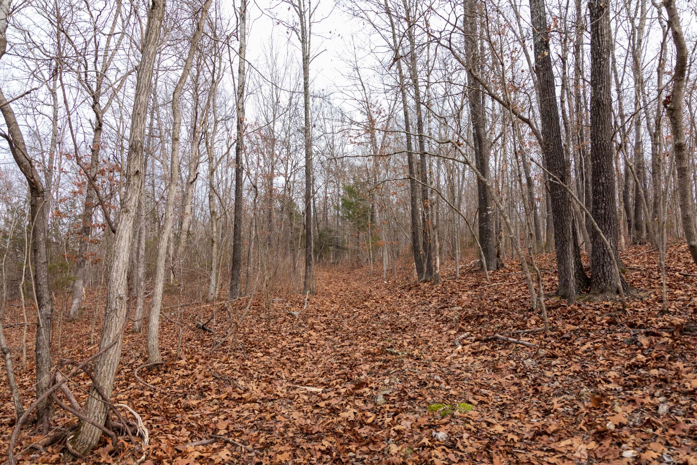 Crossroads Tract 19 photo 3