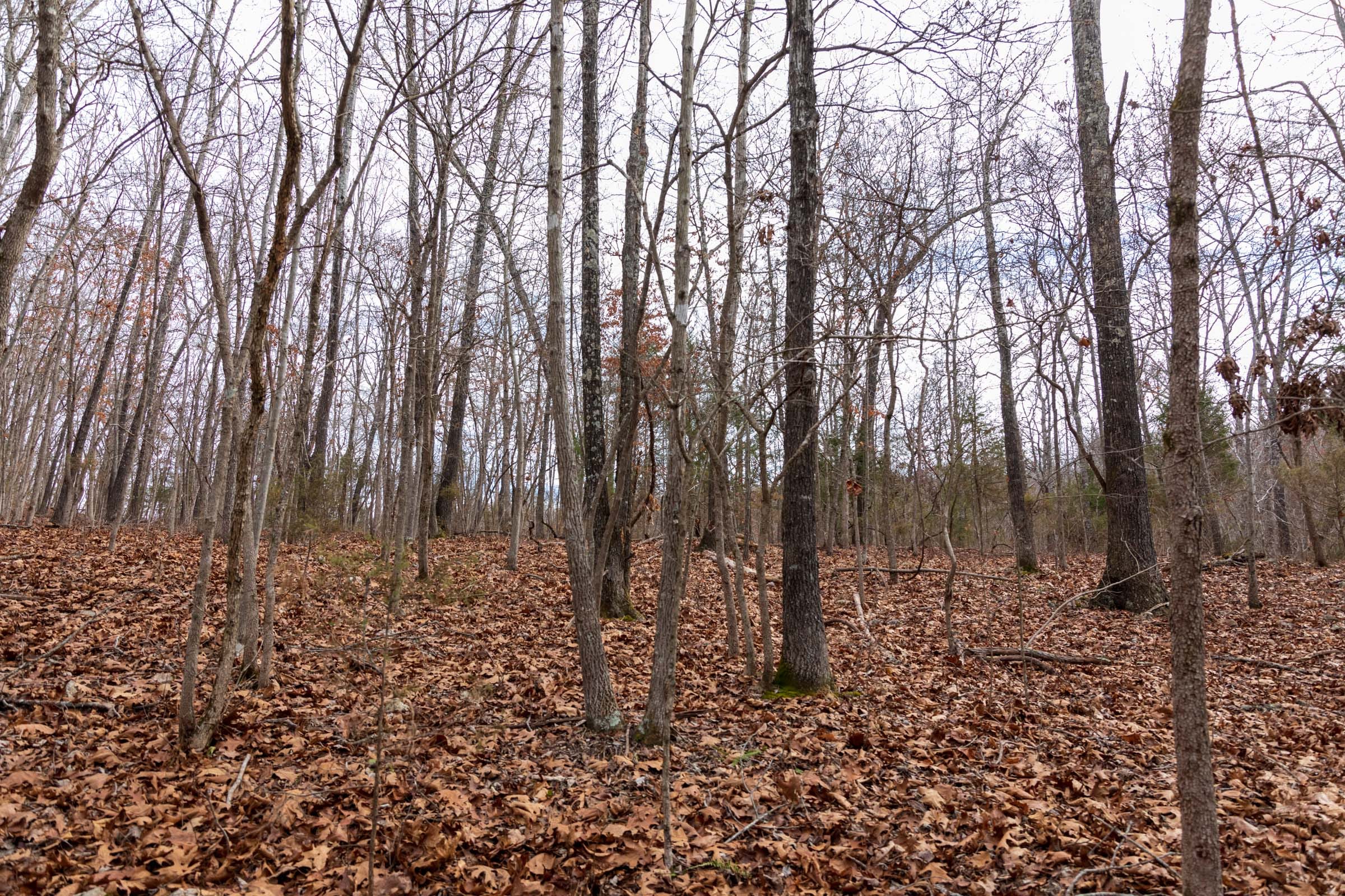 Crossroads Tract 19 photo 1