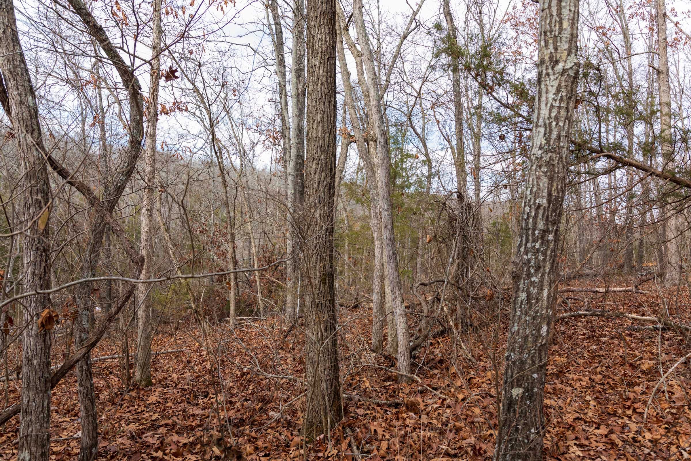 Crossroads Tract 19 photo 5