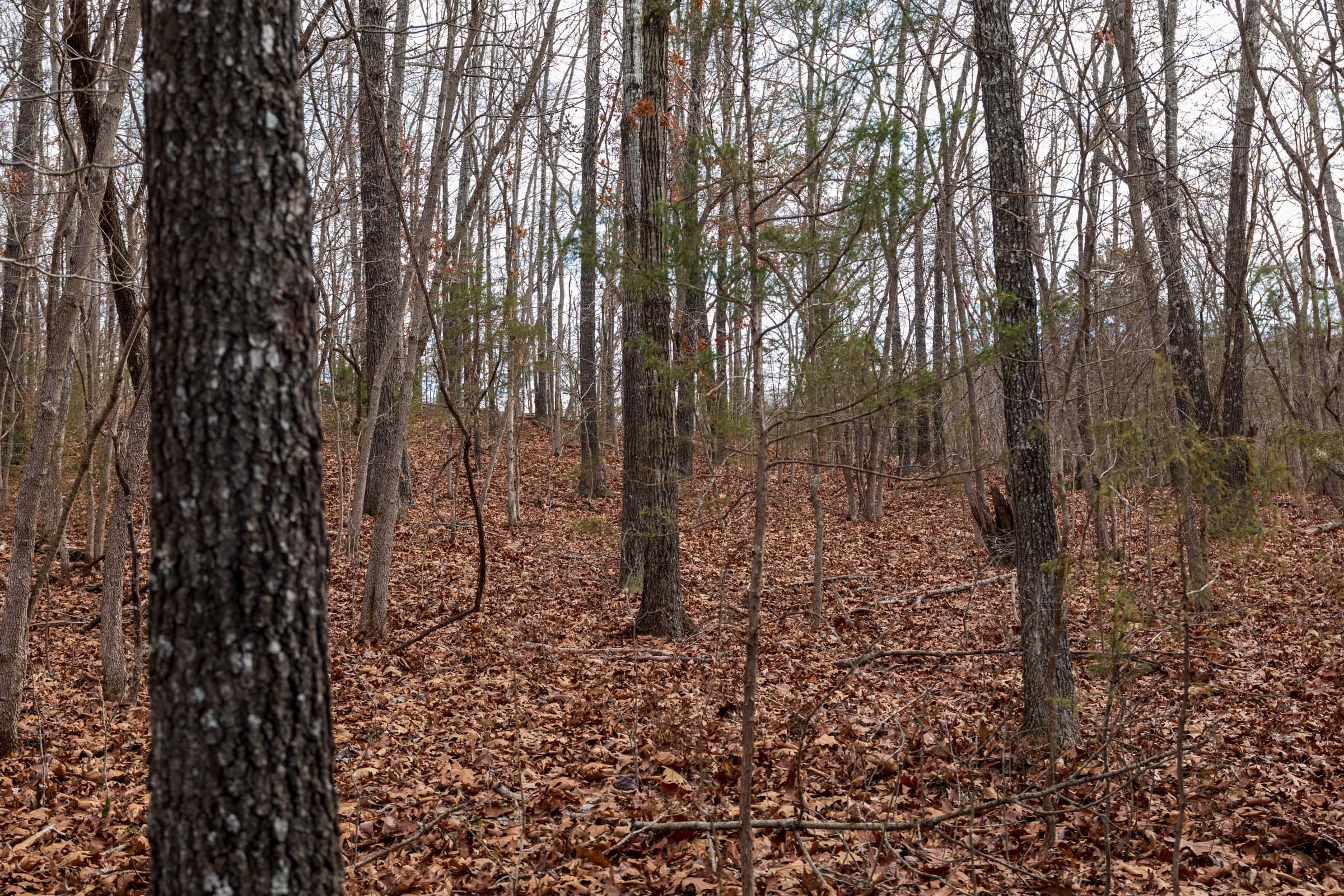 Crossroads Tract 19 photo 6
