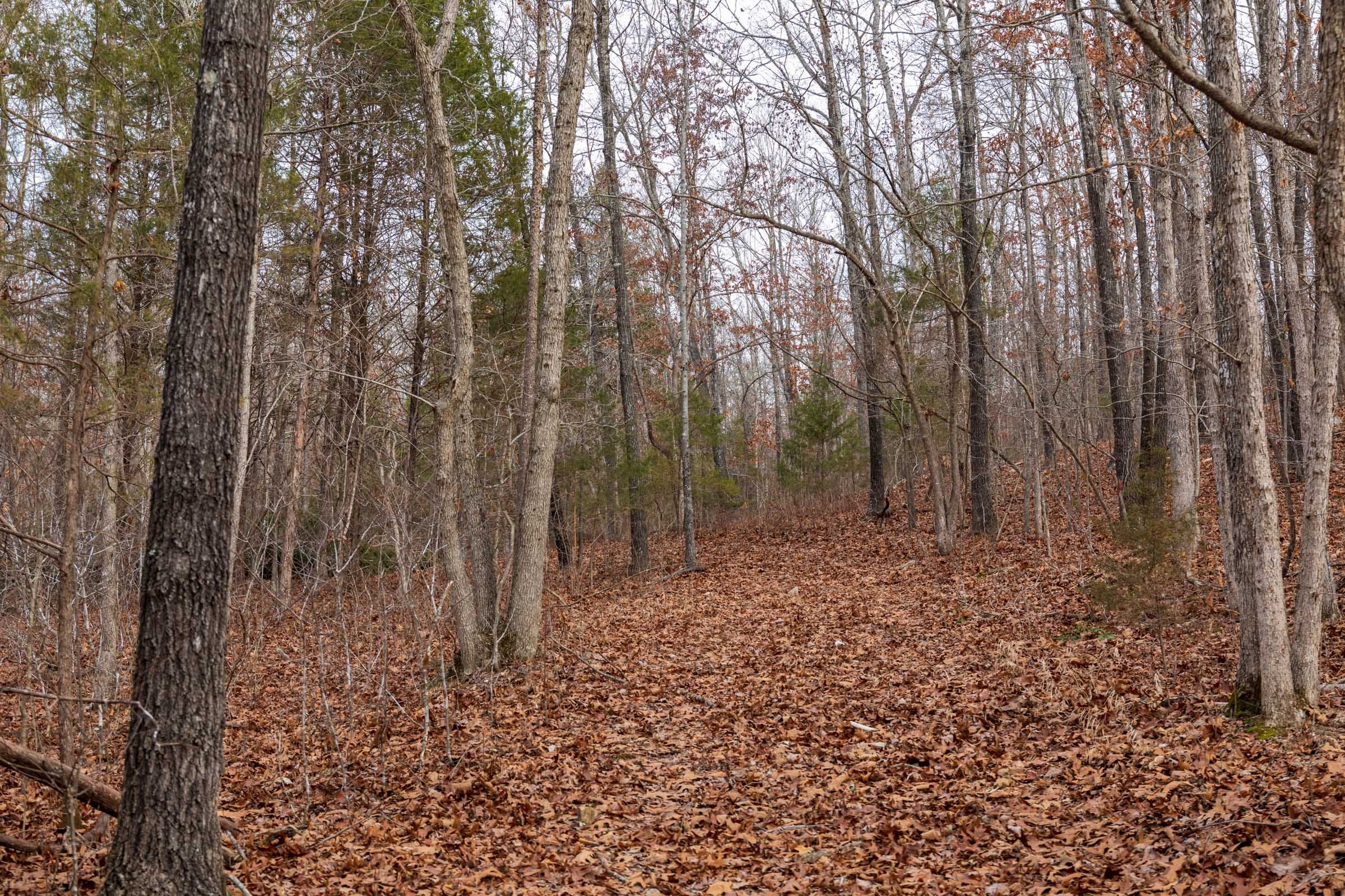 Crossroads Tract 19 photo 7