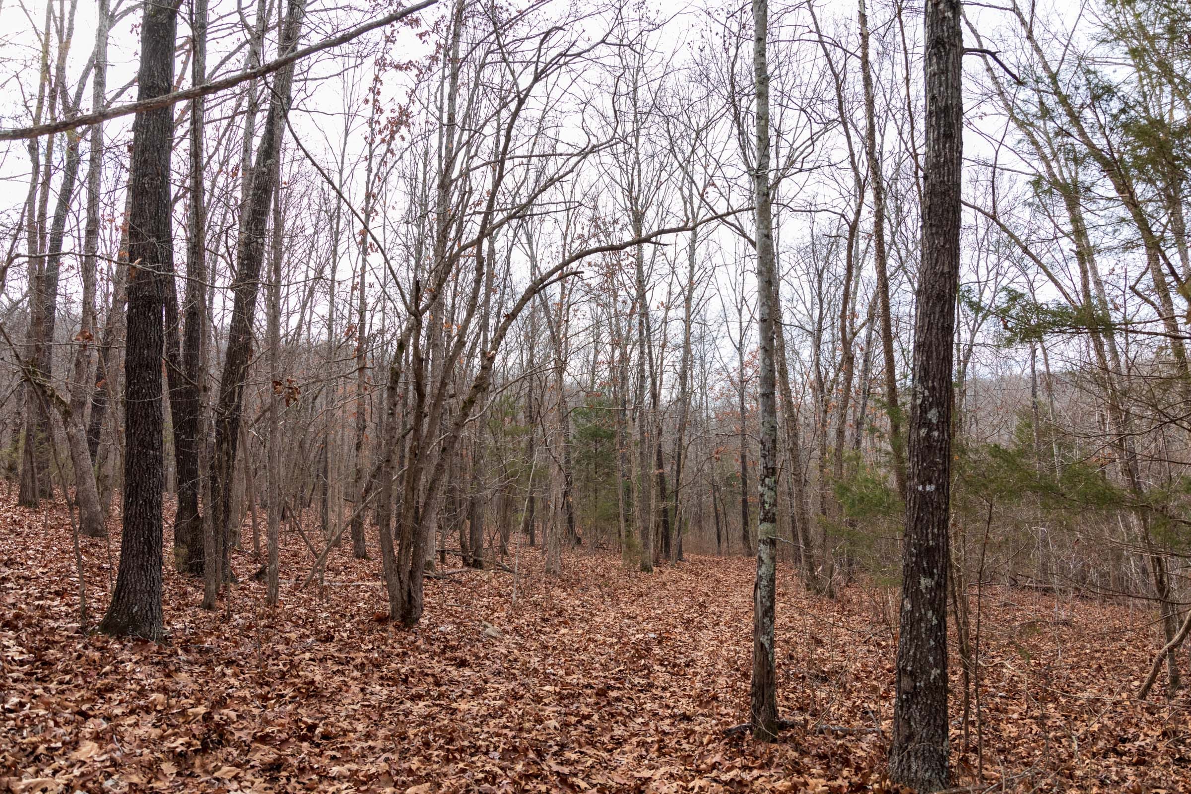Crossroads Tract 19 photo 8