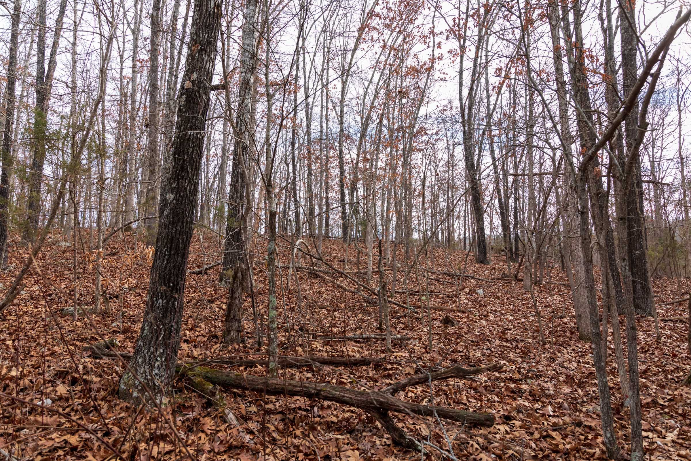 Crossroads Tract 19 photo 9