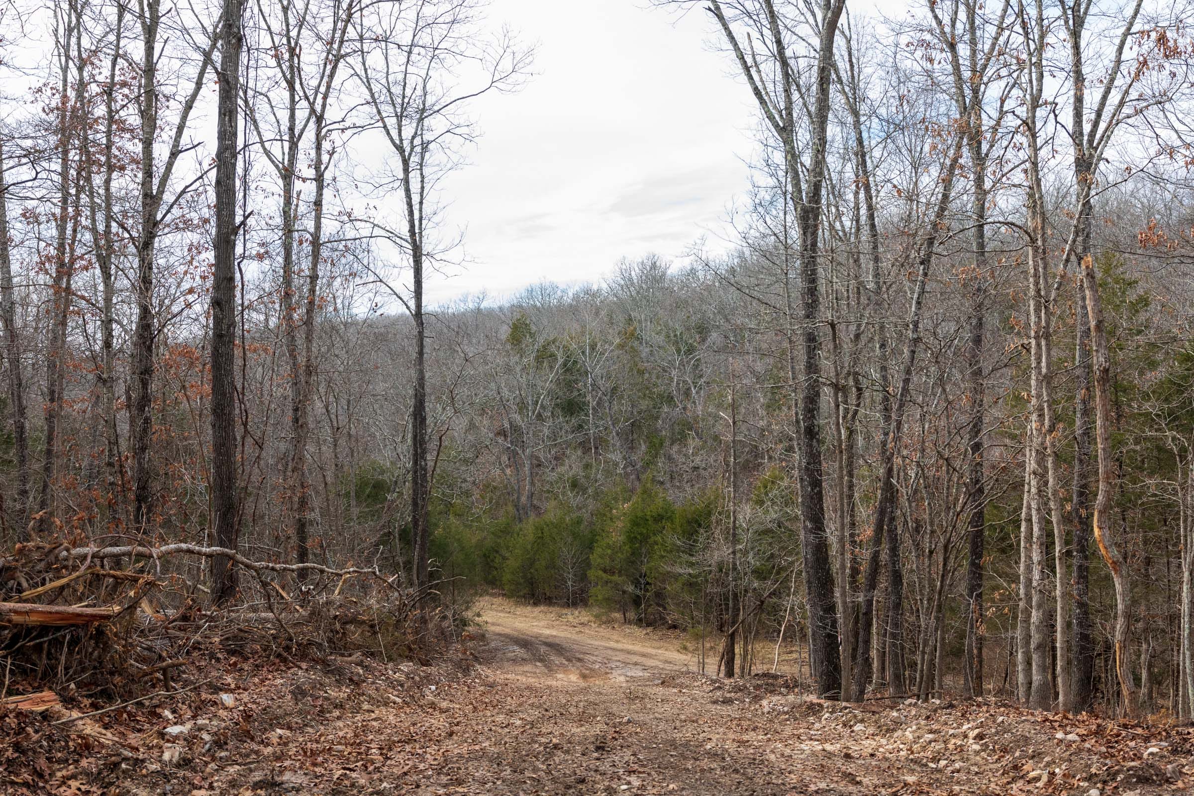 Crossroads Tract 19 photo 10